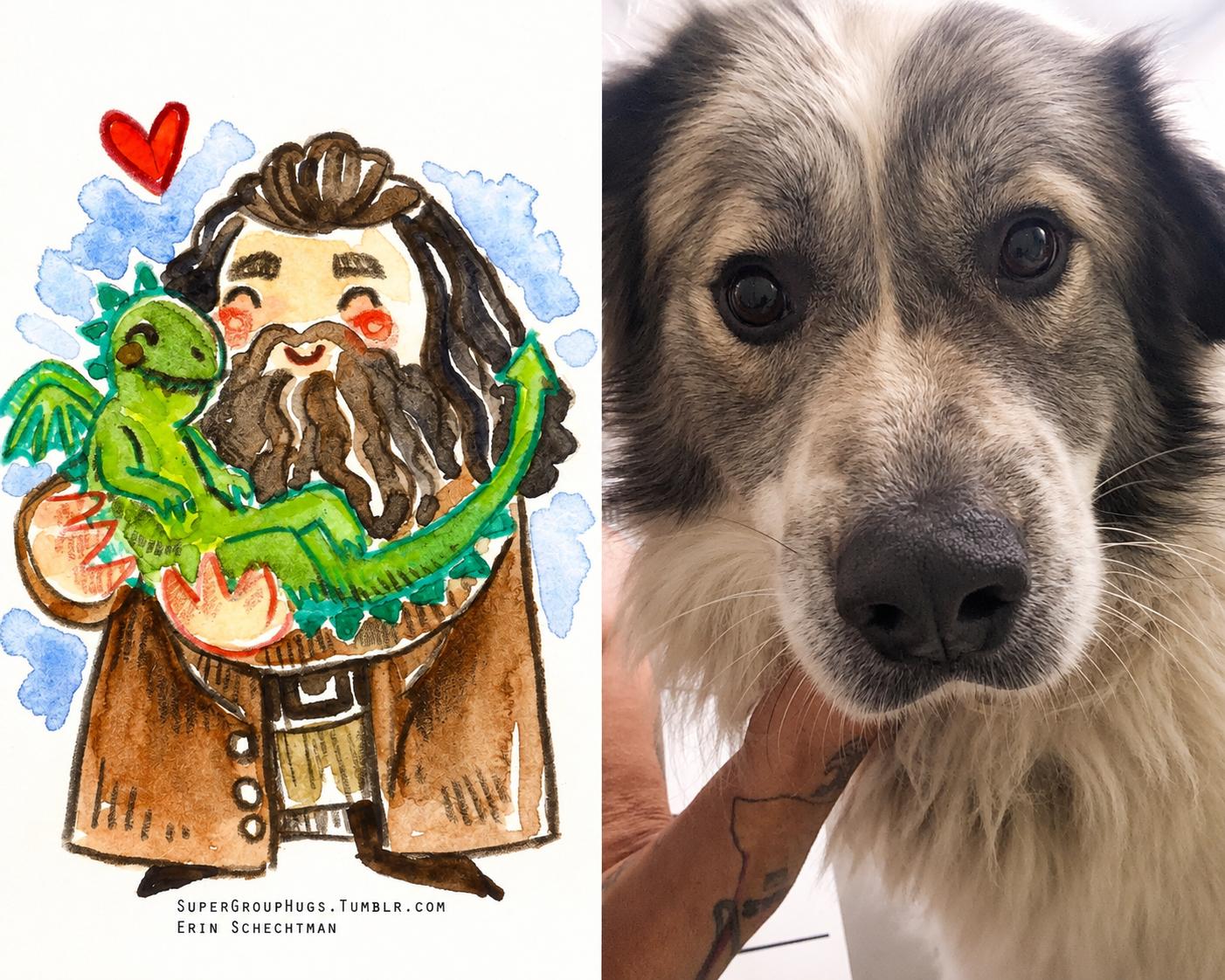 Hagrid, adopted, Young Male Great Pyrenees.