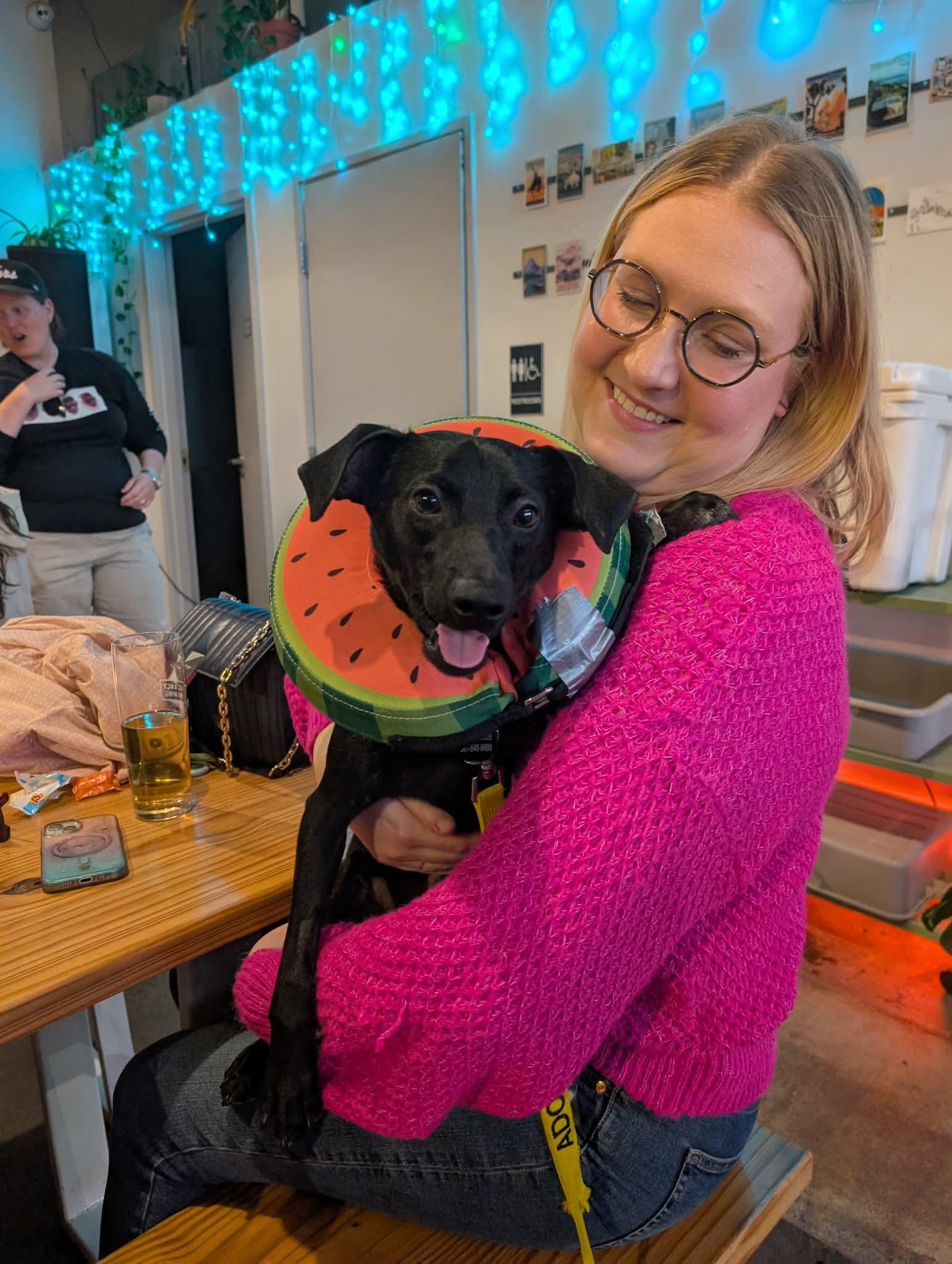 Enlarge Gumbo, a ADOPTABLE mixed breed in Austin, TX image 3/6