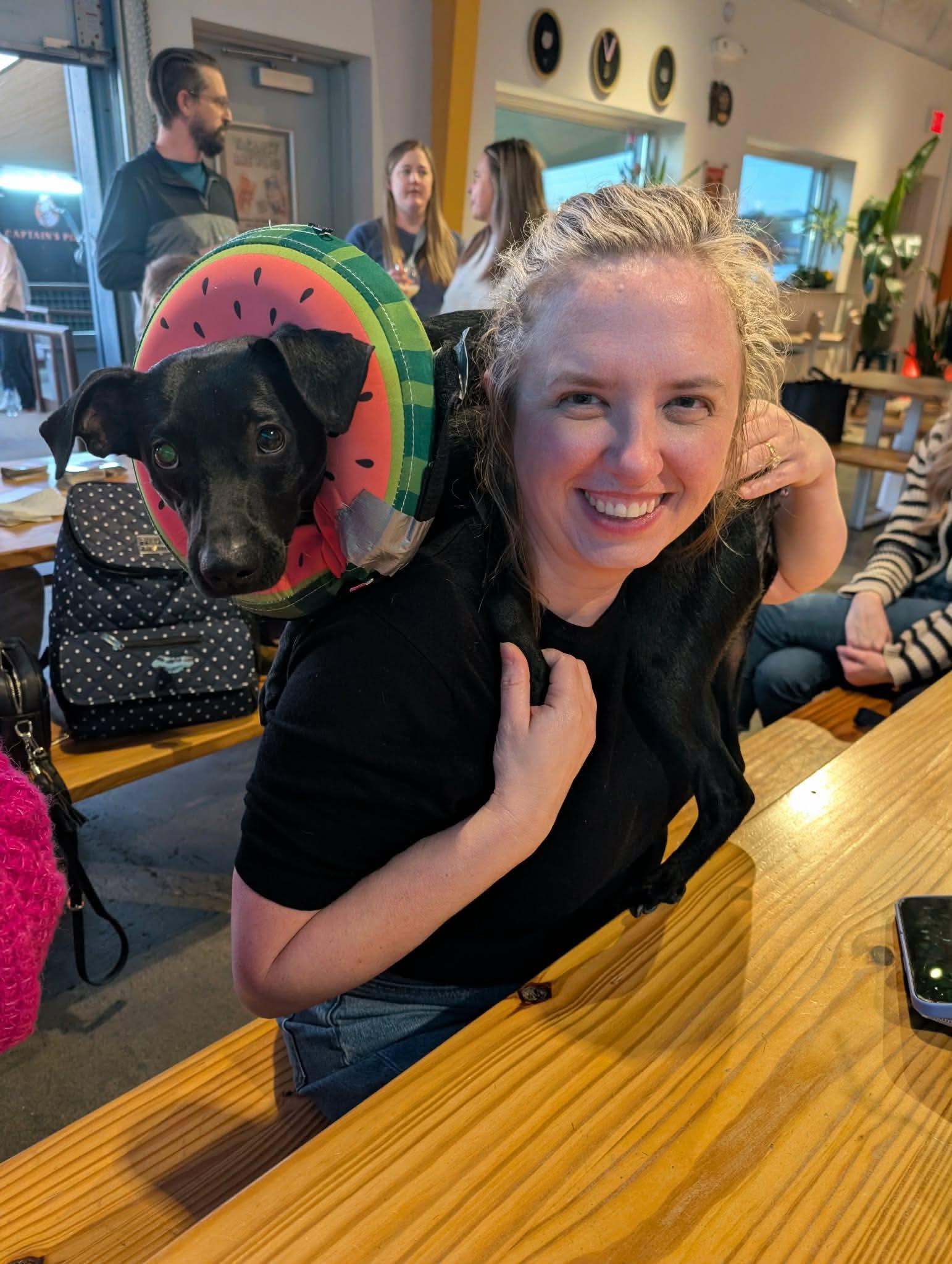 Enlarge Gumbo, a ADOPTABLE mixed breed in Austin, TX image 6/6