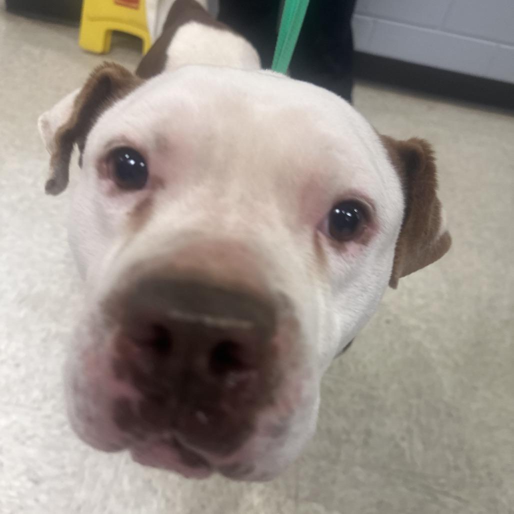 Babe — thumbnail 2