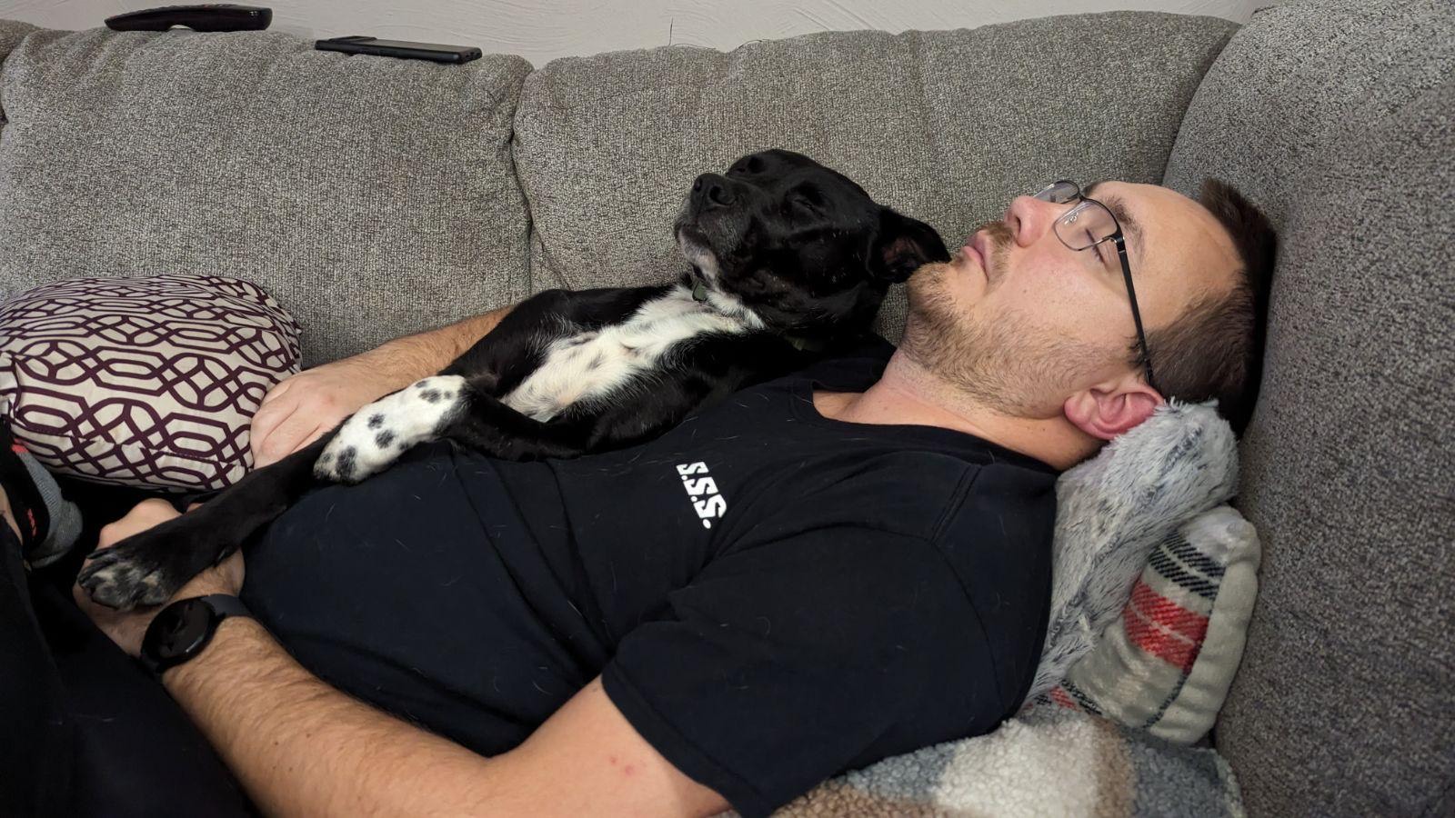 Oreo photo 4