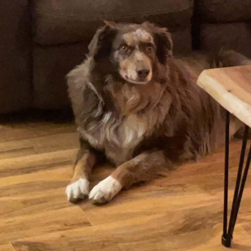 COURTESY POST - Mate - Delavan, WI