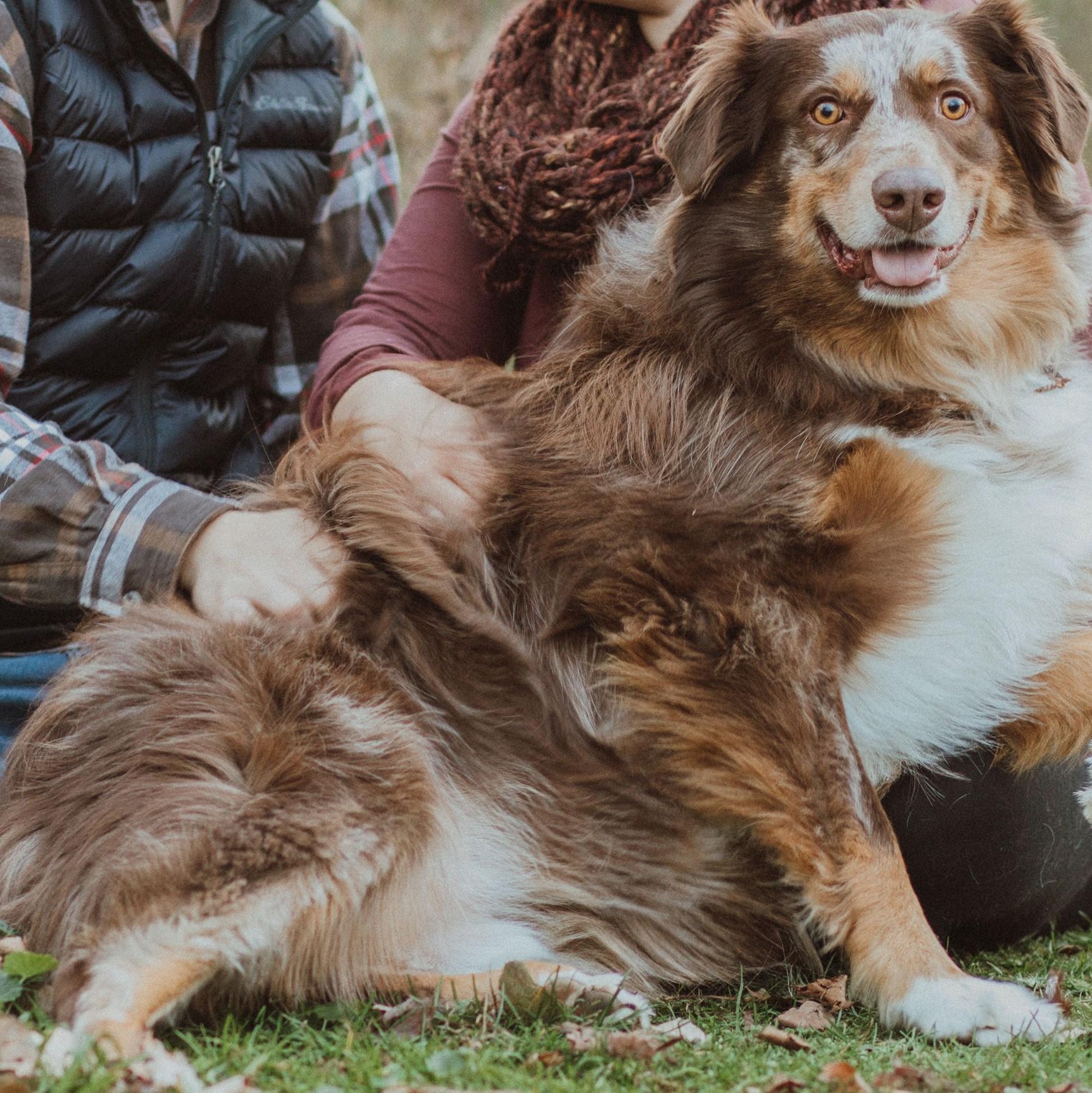 COURTESY POST - Mate - Delavan, WI