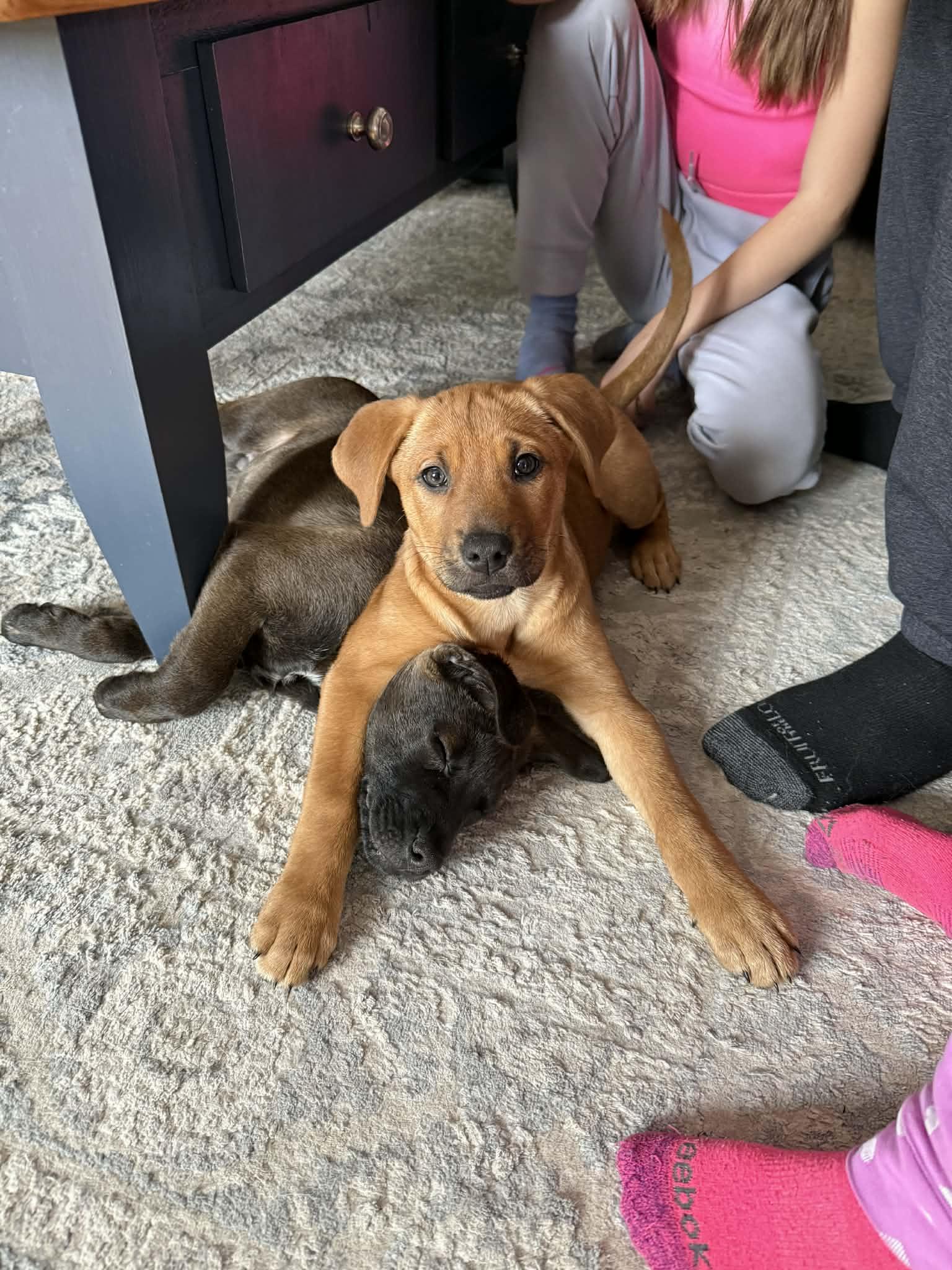 Little Cedar (20260203-04)