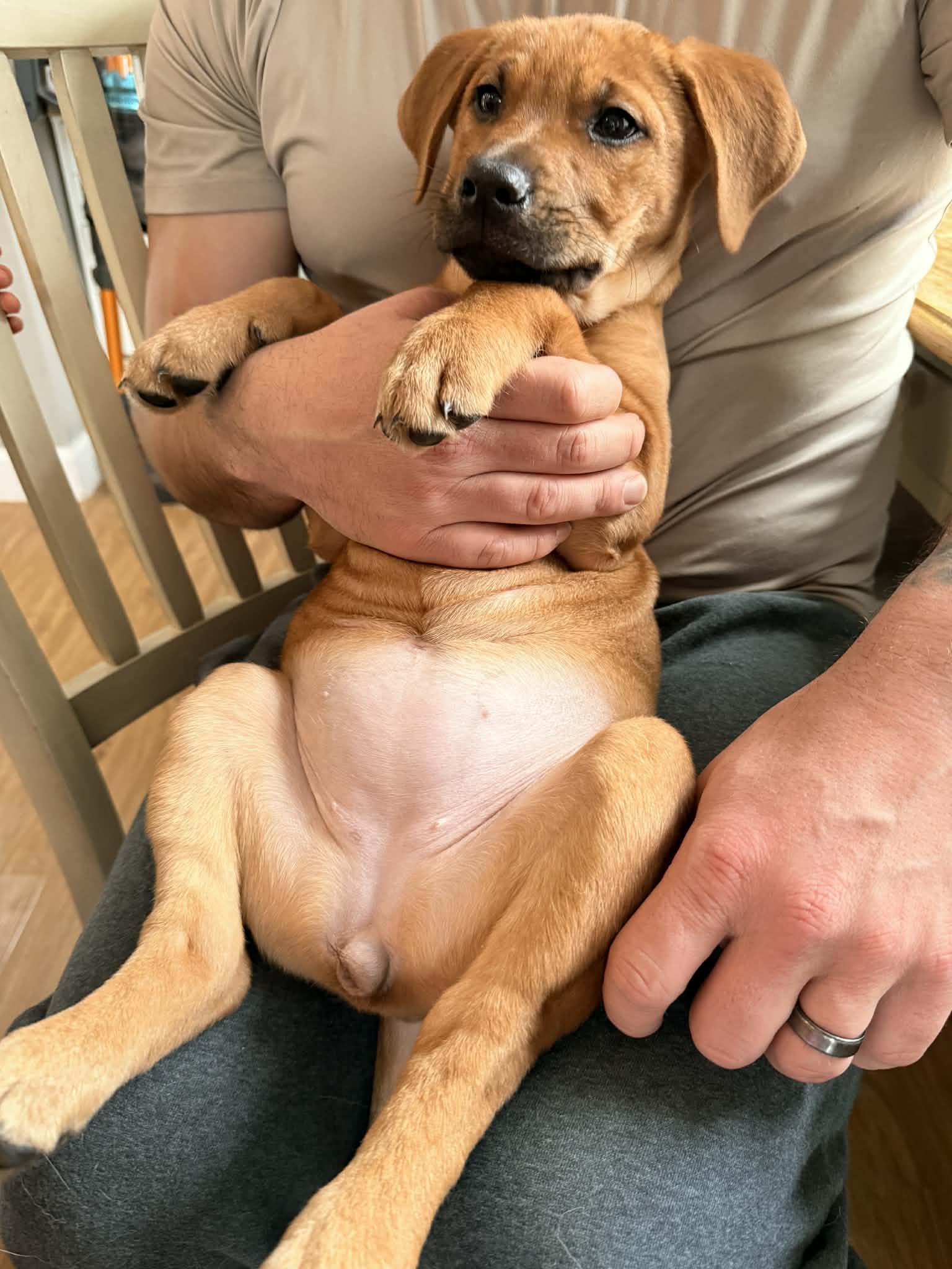 Little Cedar (20260203-04) — thumbnail 4