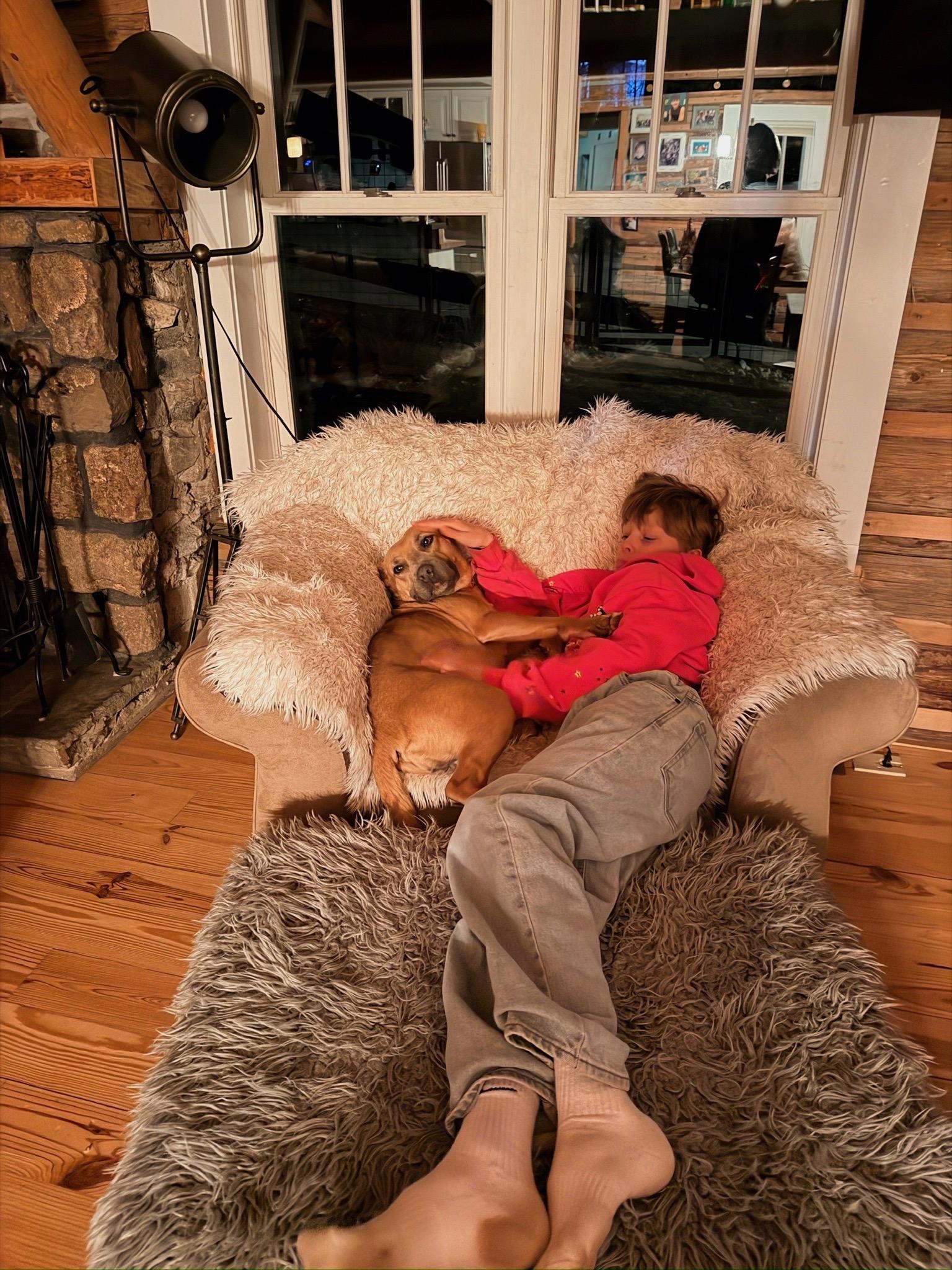 Enlarge Clara, a ADOPTABLE mixed breed in Durango, CO image 5/6