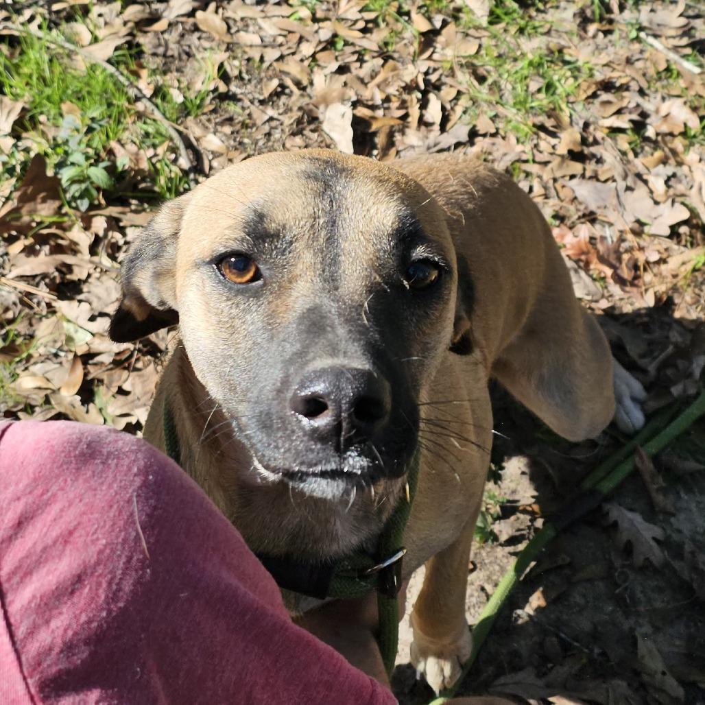 Klover — thumbnail 2