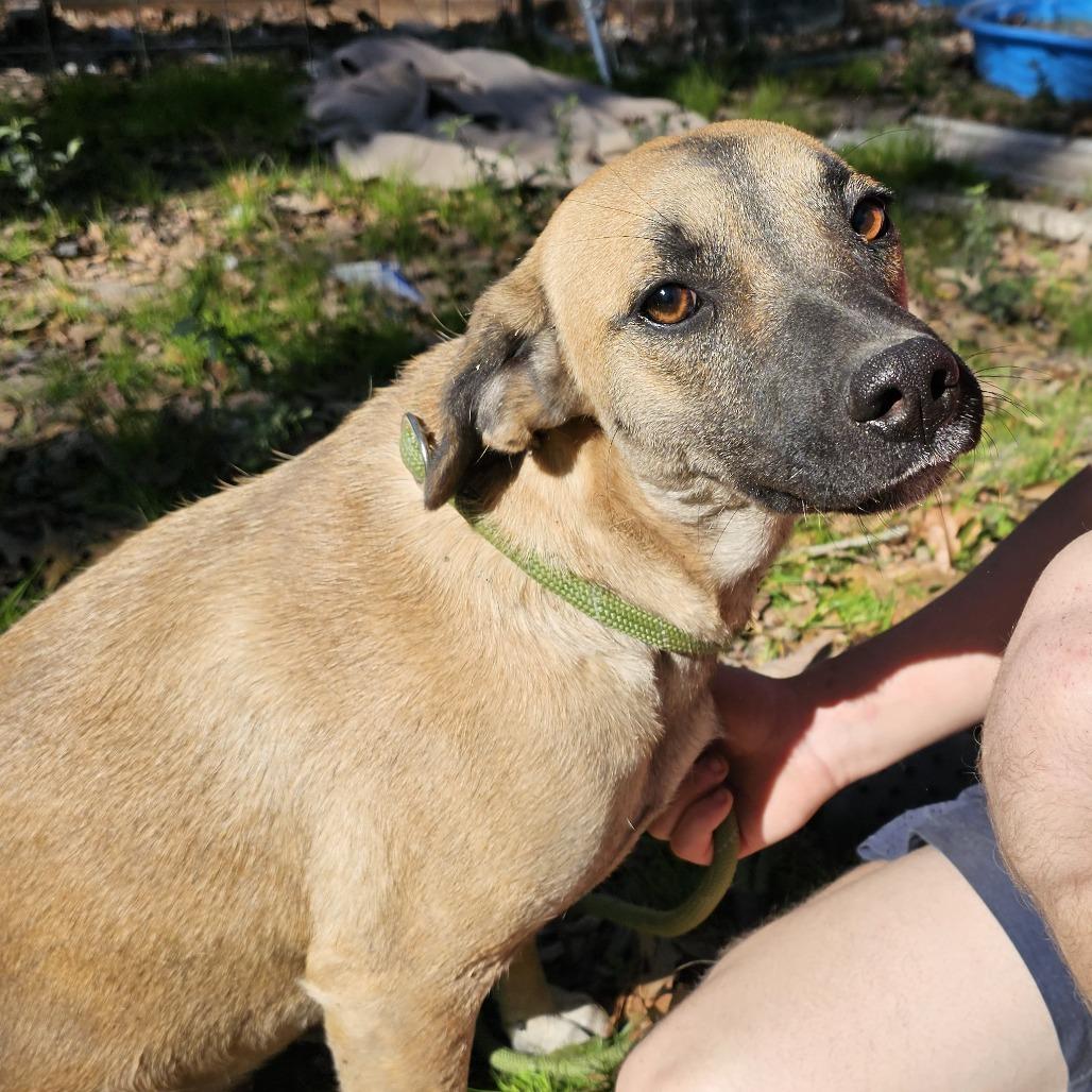 Klover — thumbnail 3