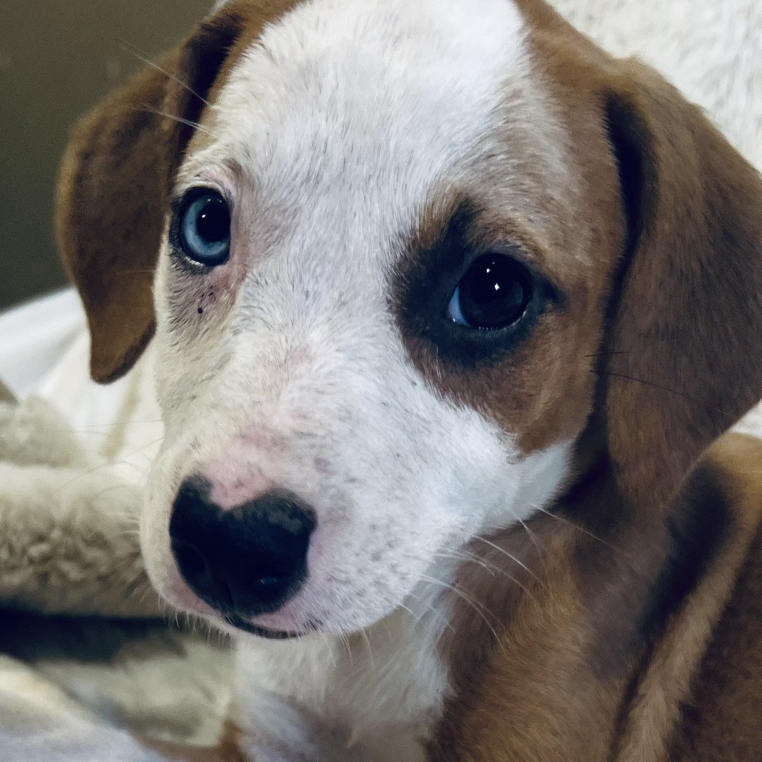 Lizzie! Sweet and cuddly!