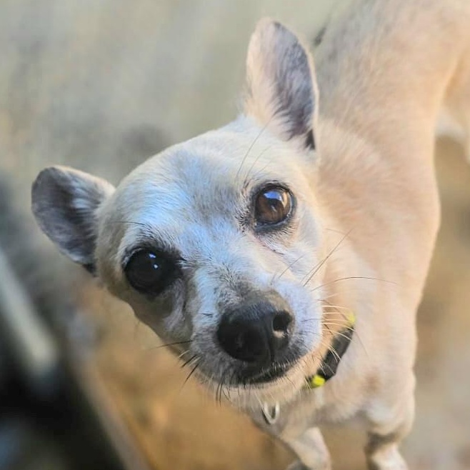 Leo Aries "your Perfect