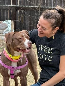 Enlarge Rozie, a ADOPTABLE mixed breed in Denver, CO image 5/5