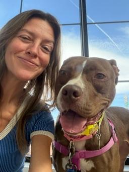Enlarge Rozie, a ADOPTABLE mixed breed in Denver, CO image 2/5