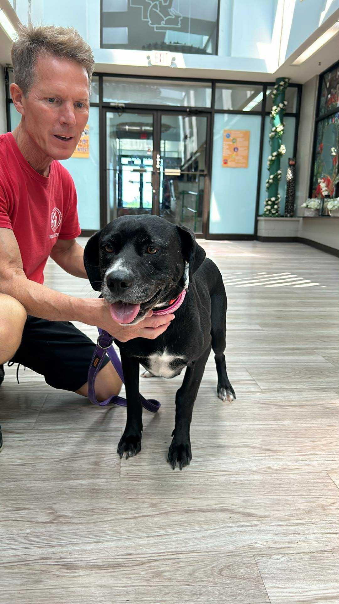 Brittany, Senior Female unknown