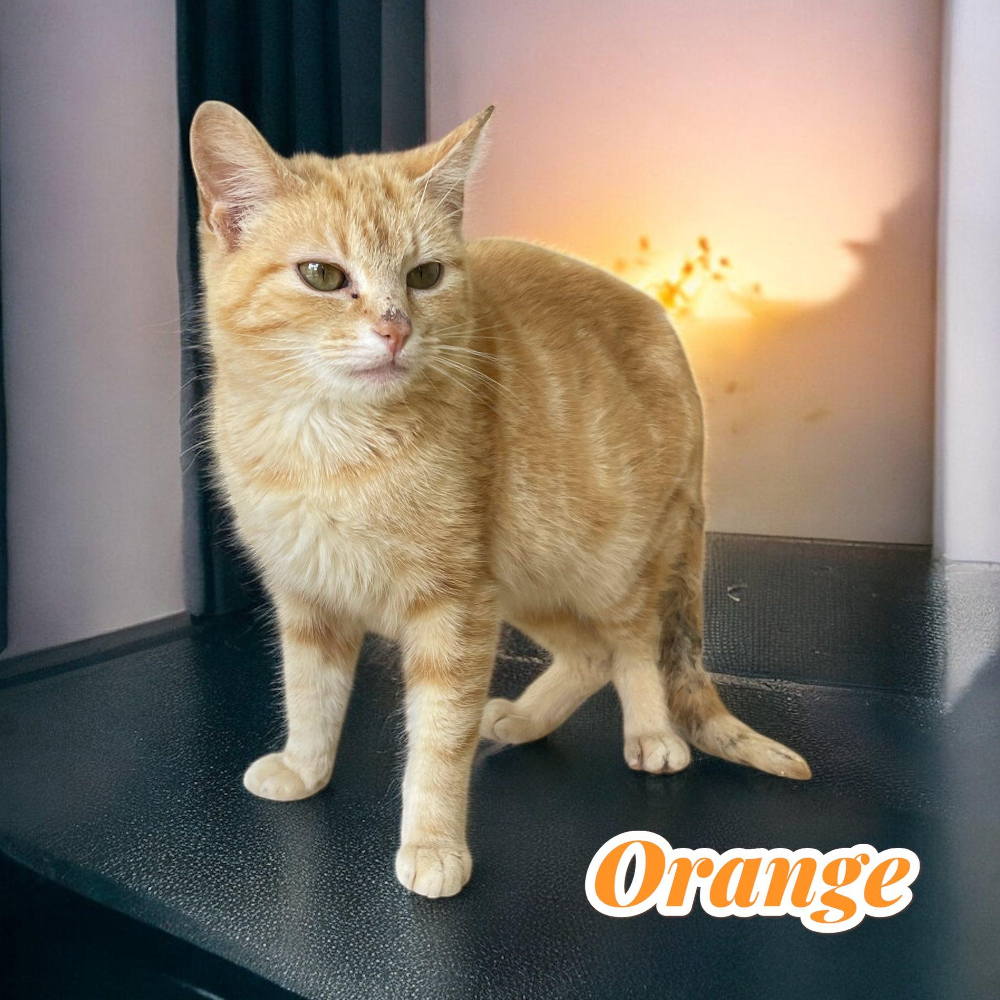 Orange