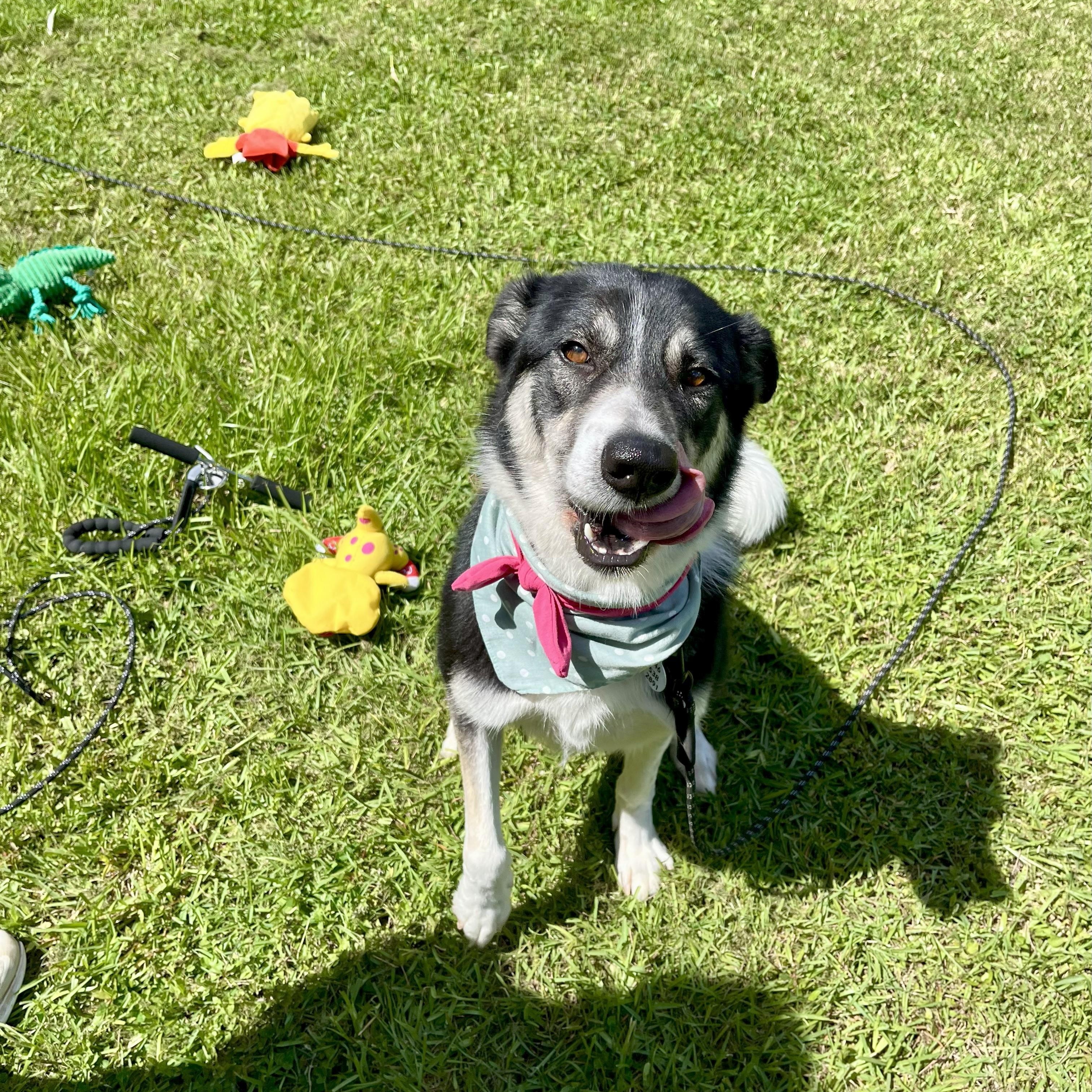 Mileena — thumbnail 5