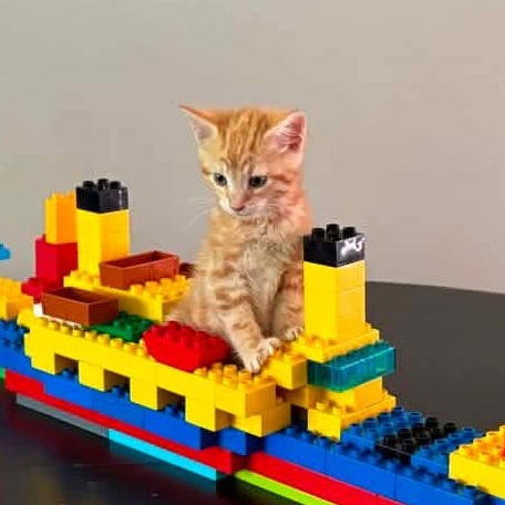 Captain Edward Smith, an adoptable mixed breed in Kentwood, MI image 3/4