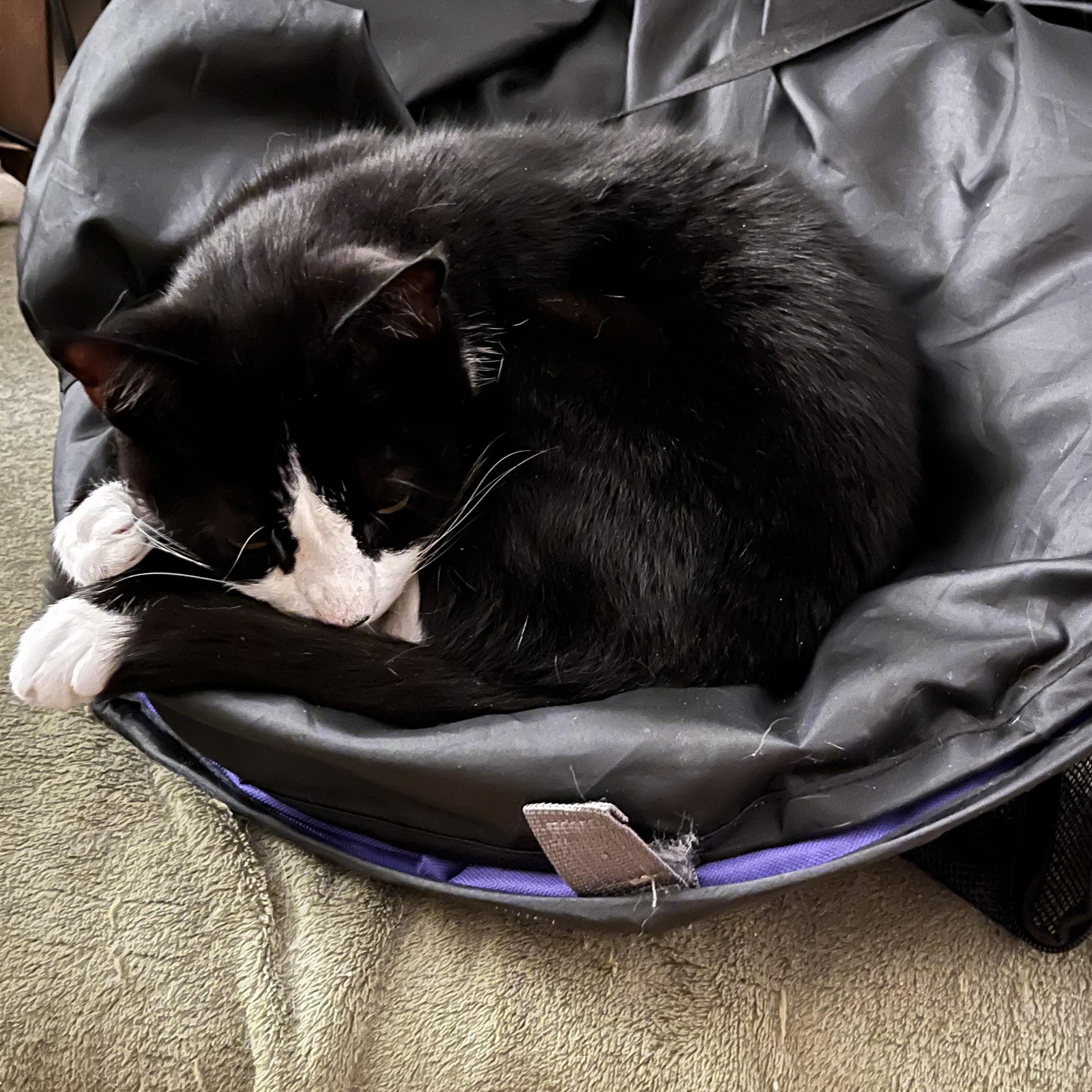 Harry - Mr. Easygoing