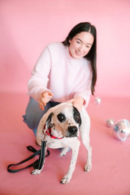 Enlarge Crush, a Adoptable mixed breed in King William, VA image 3/3