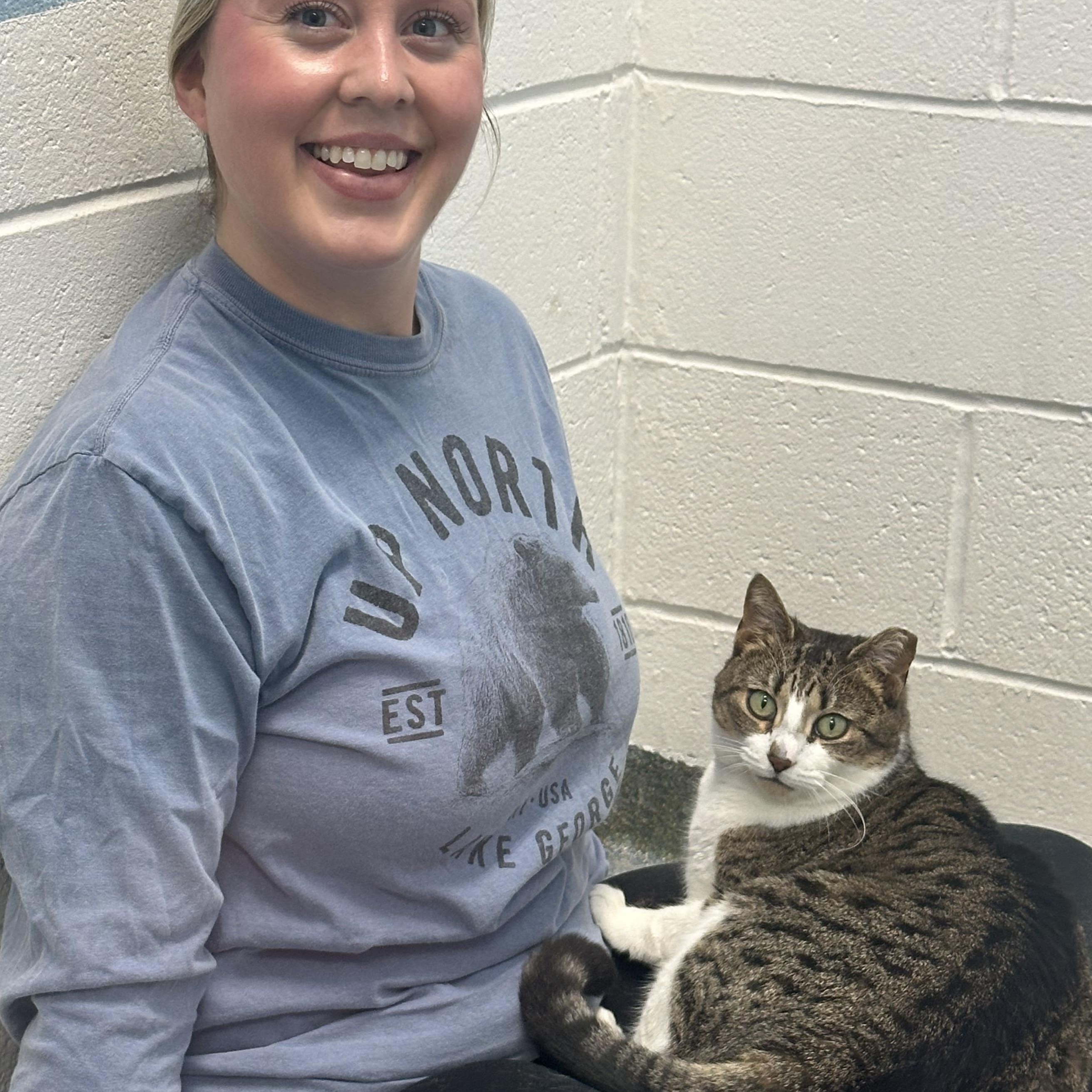 Enlarge Mitzi , a ADOPTABLE Domestic Short Hair in Clifton, NJ image 5/6