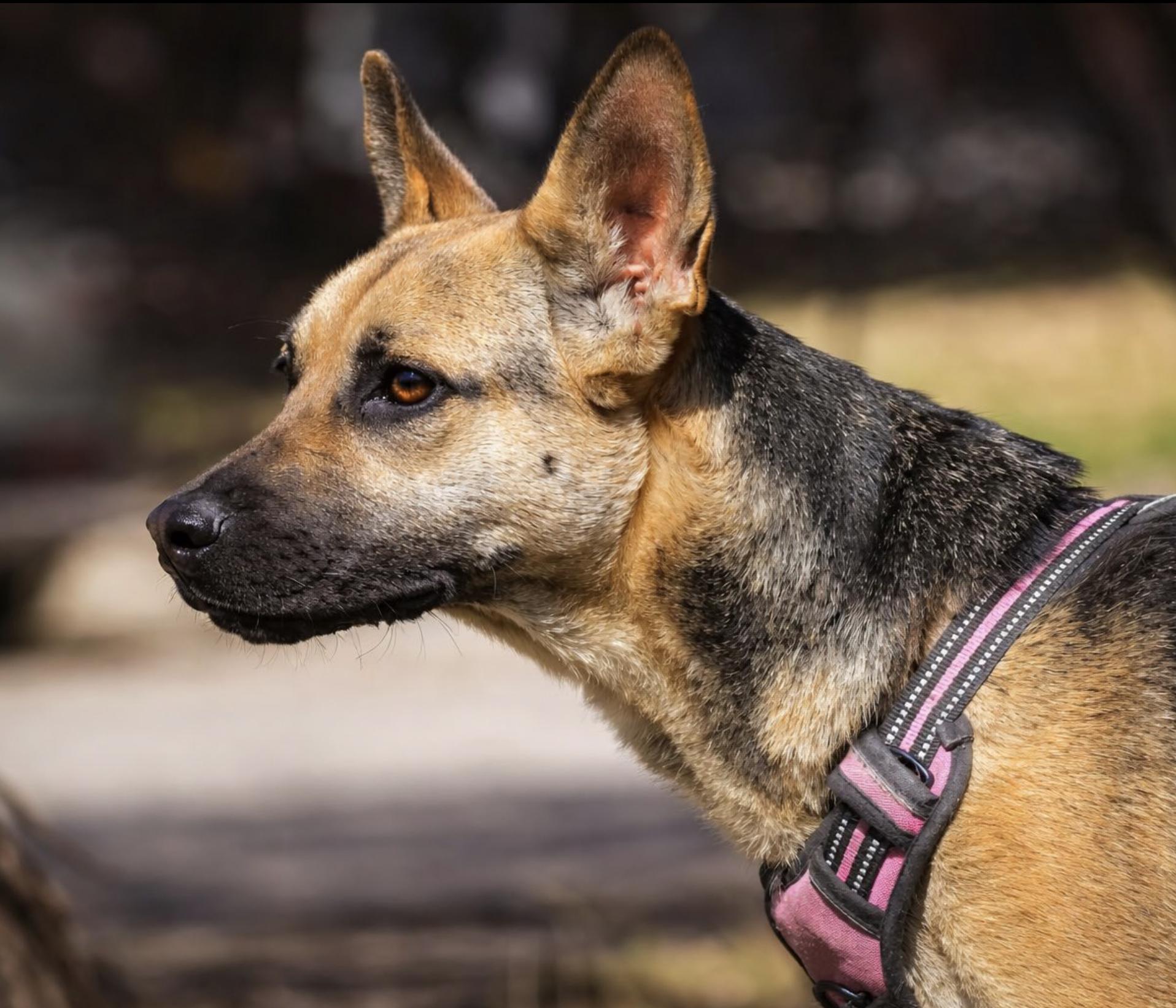 Samantha — thumbnail 4