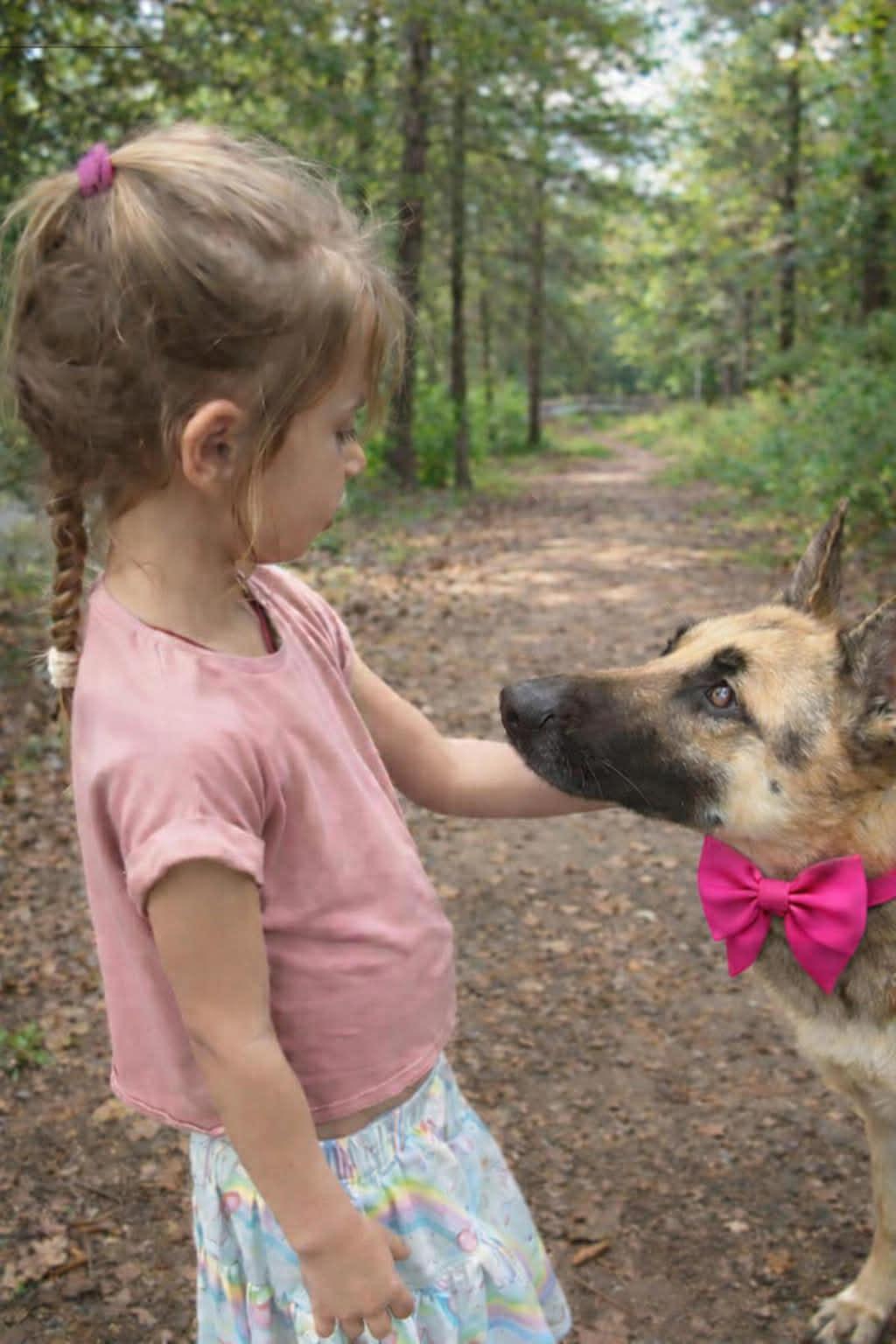 XARA GS — thumbnail 4