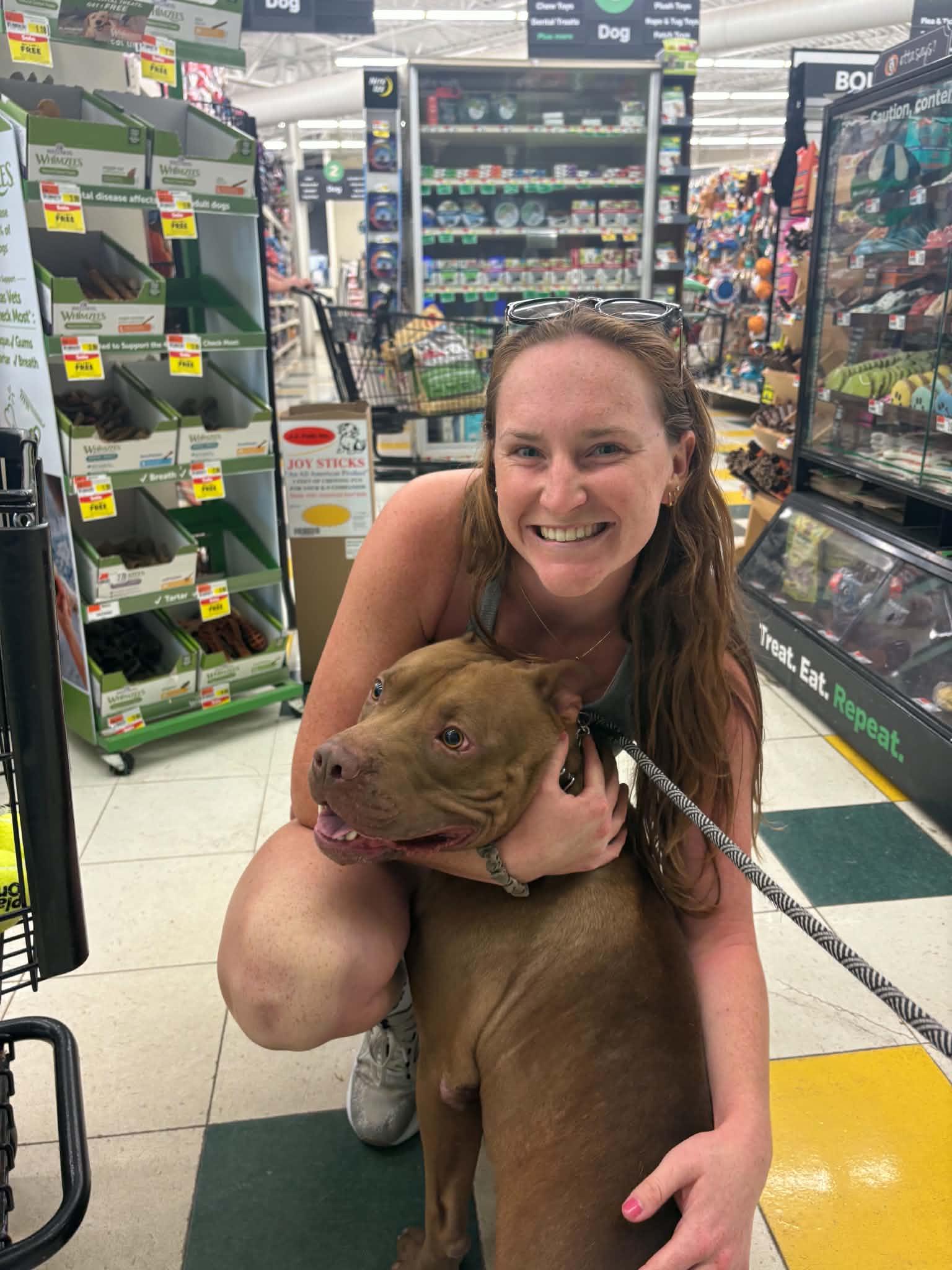 Enlarge Congo, a Adoptable mixed breed in Buffalo, NY image 6/6