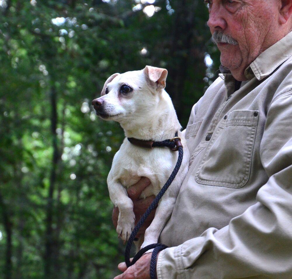 Sebastian, a Adoptable mixed breed in Willingboro, NJ image 5/6