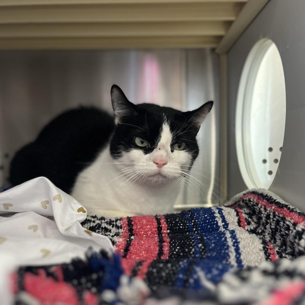 Bean — thumbnail 2