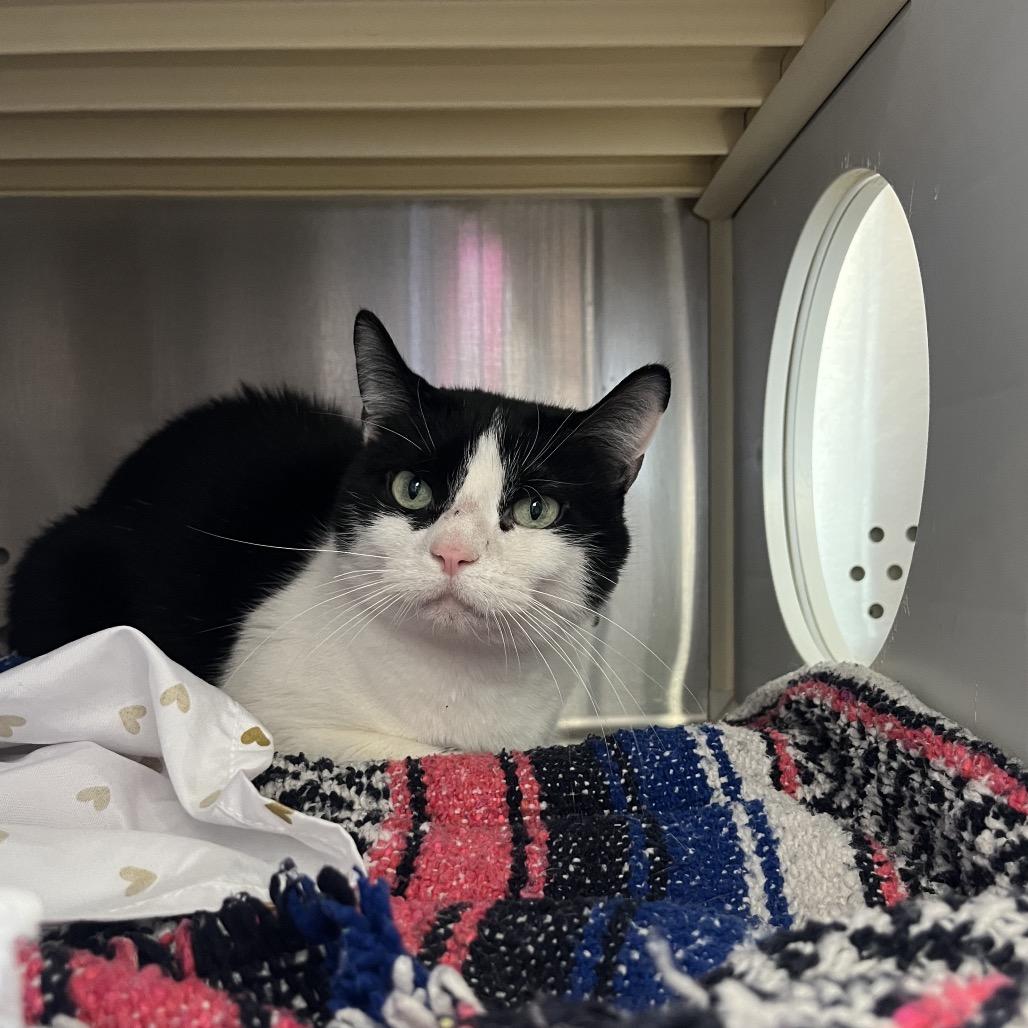 Bean — thumbnail 3