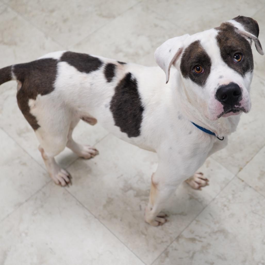 Keno — thumbnail 2