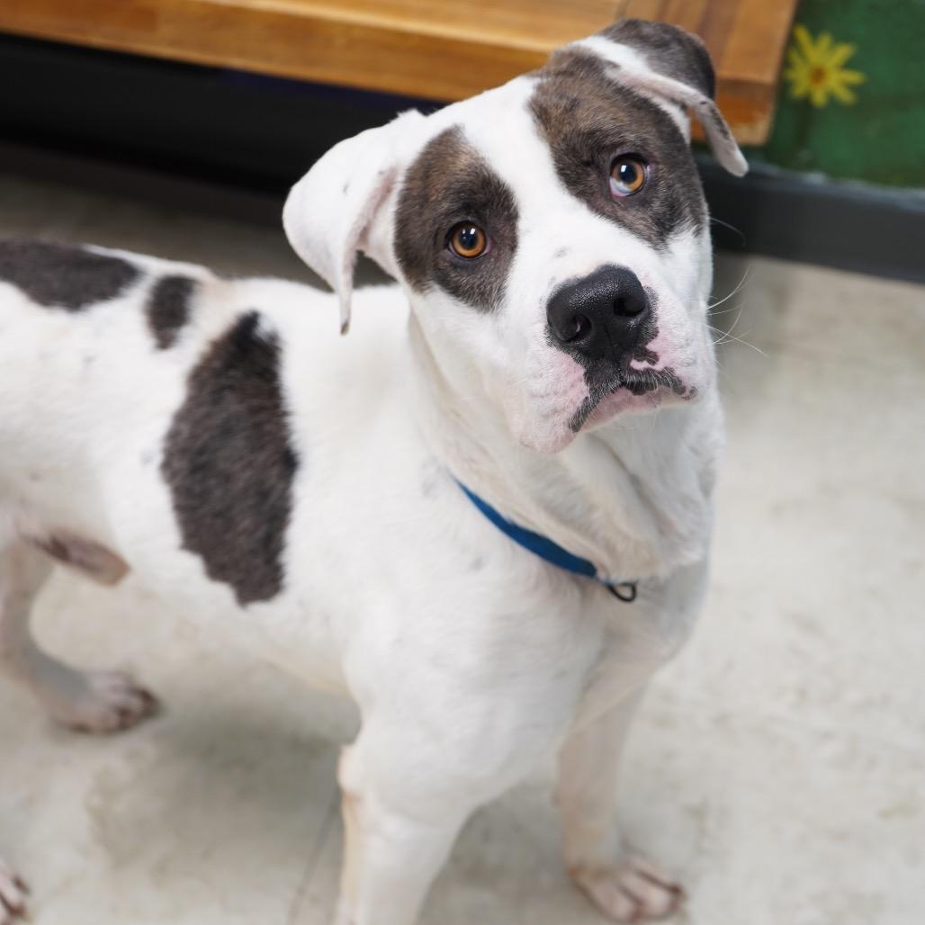 Keno — thumbnail 3