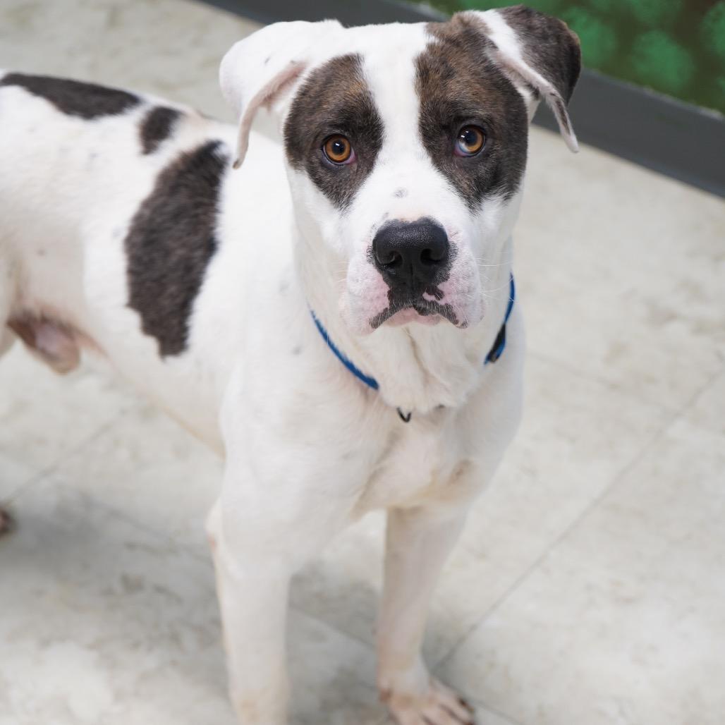 Keno — thumbnail 4