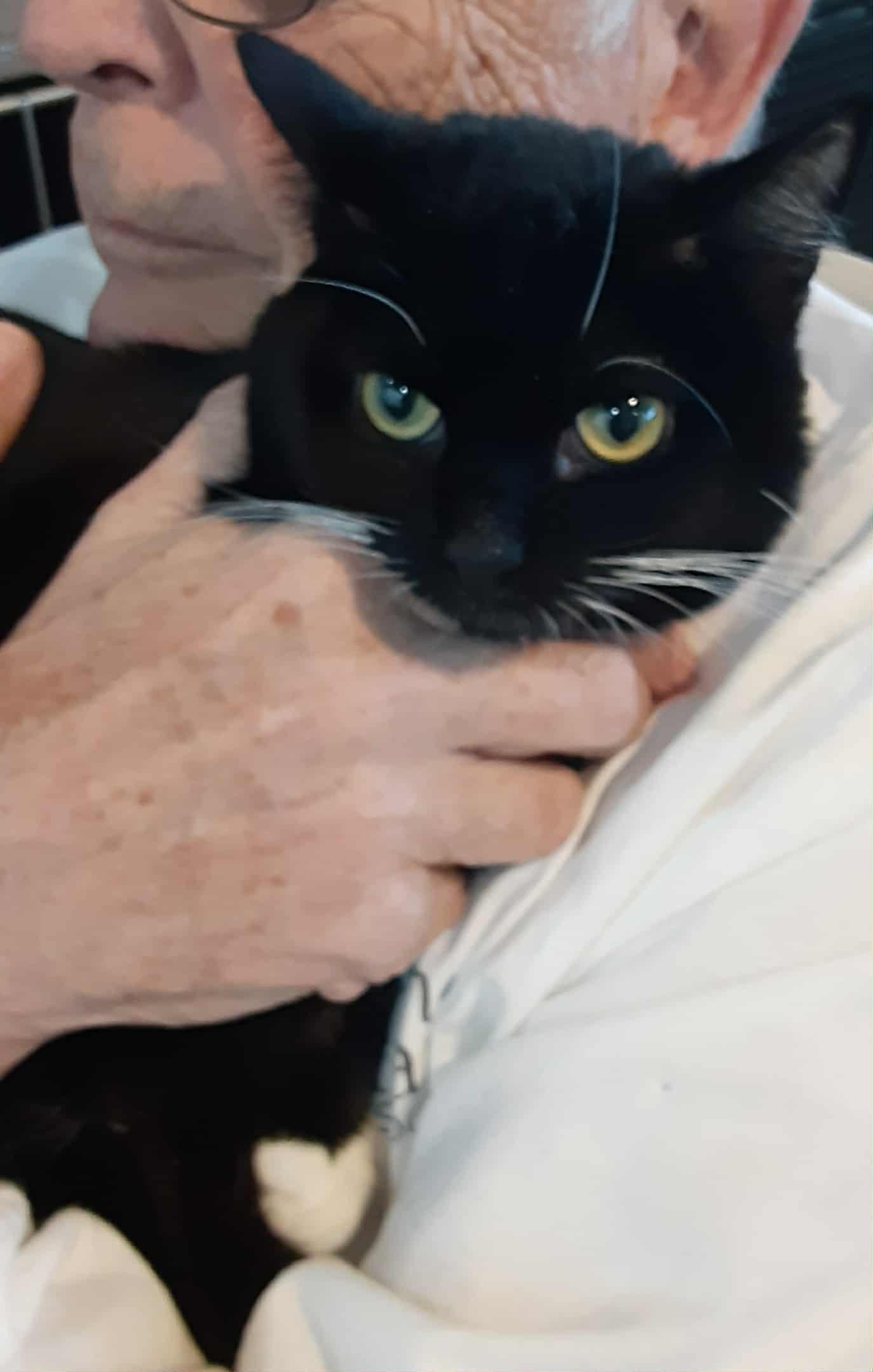 Chloe & Gisele - bonded pair