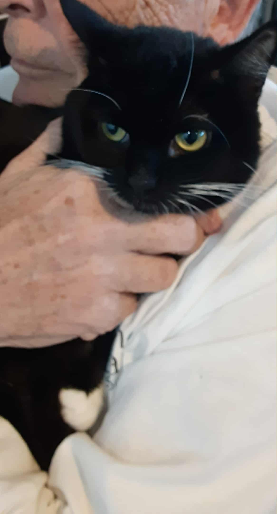 Chloe & Gisele - bonded pair