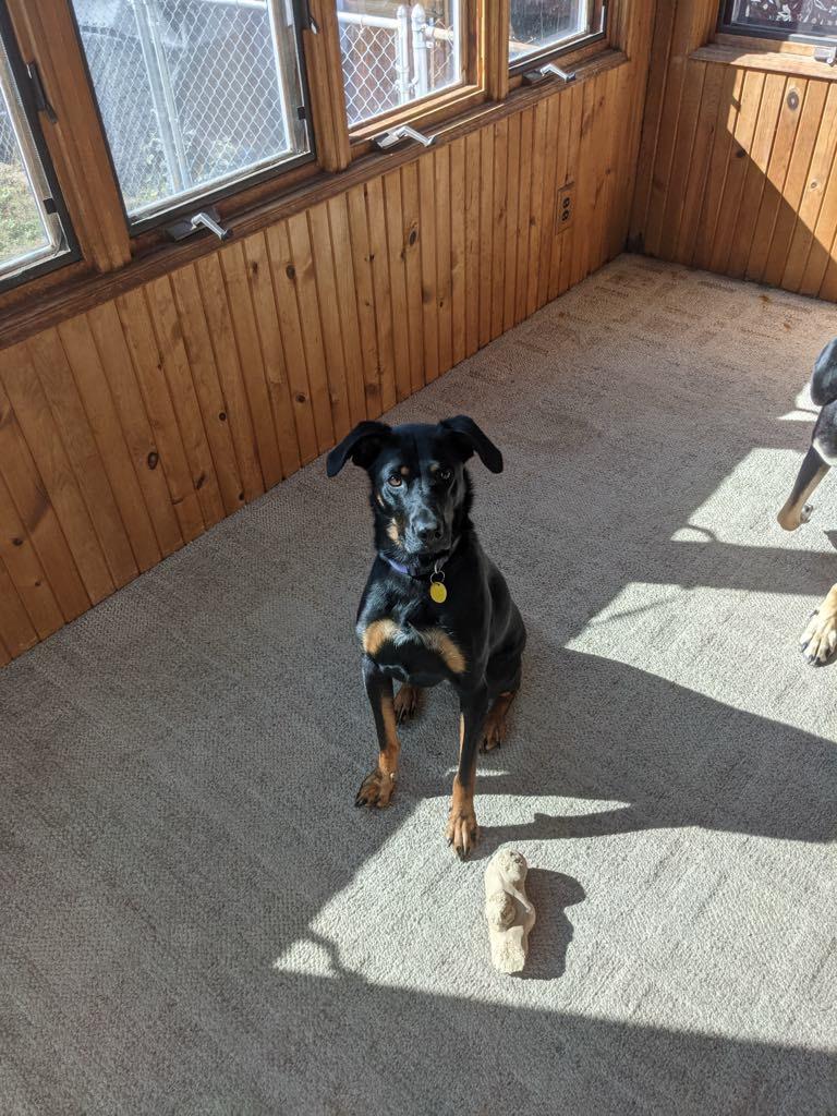 **Courtesy Post**Pita-Mae