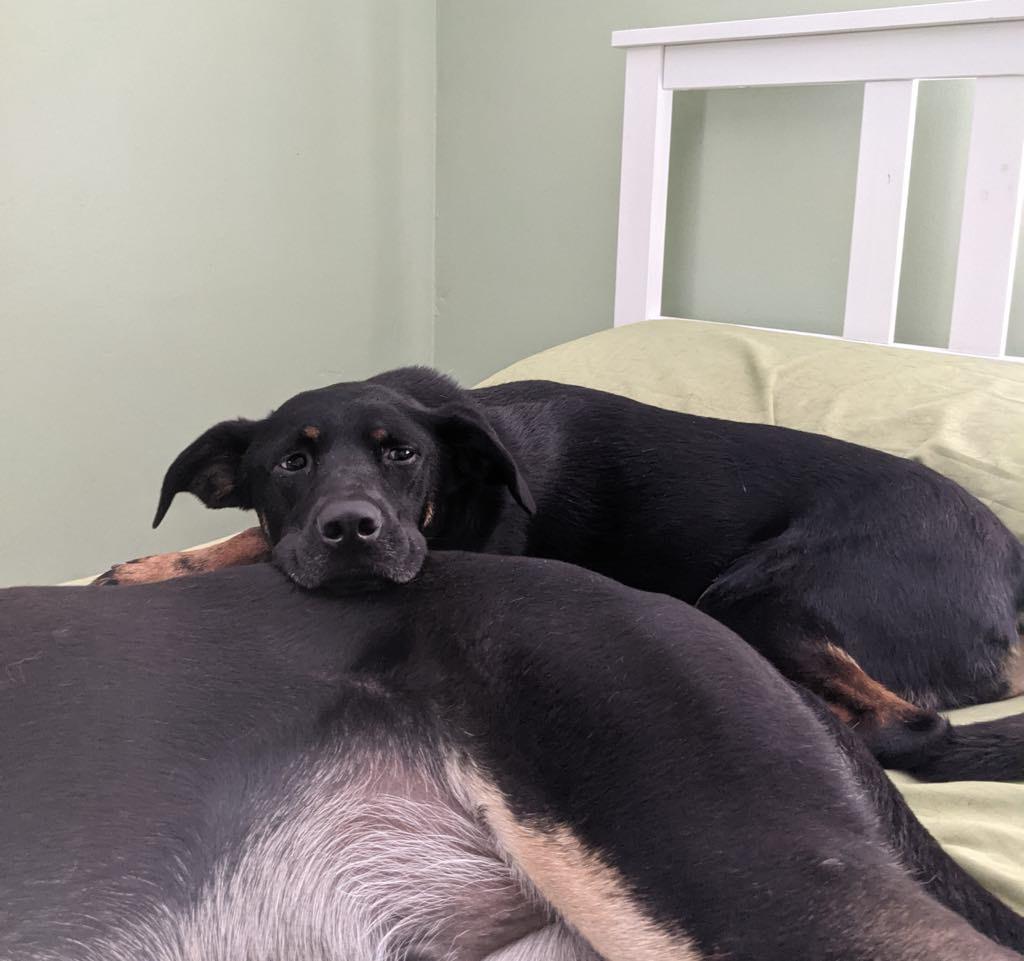 **Courtesy Post**Pita-Mae