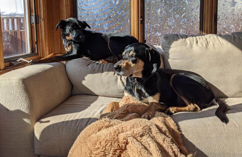 **Courtesy Post**Pita-Mae