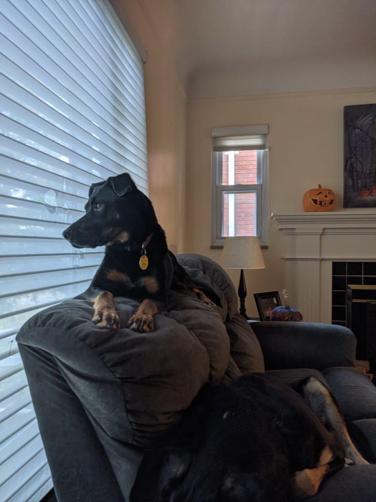 **Courtesy Post**Pita-Mae