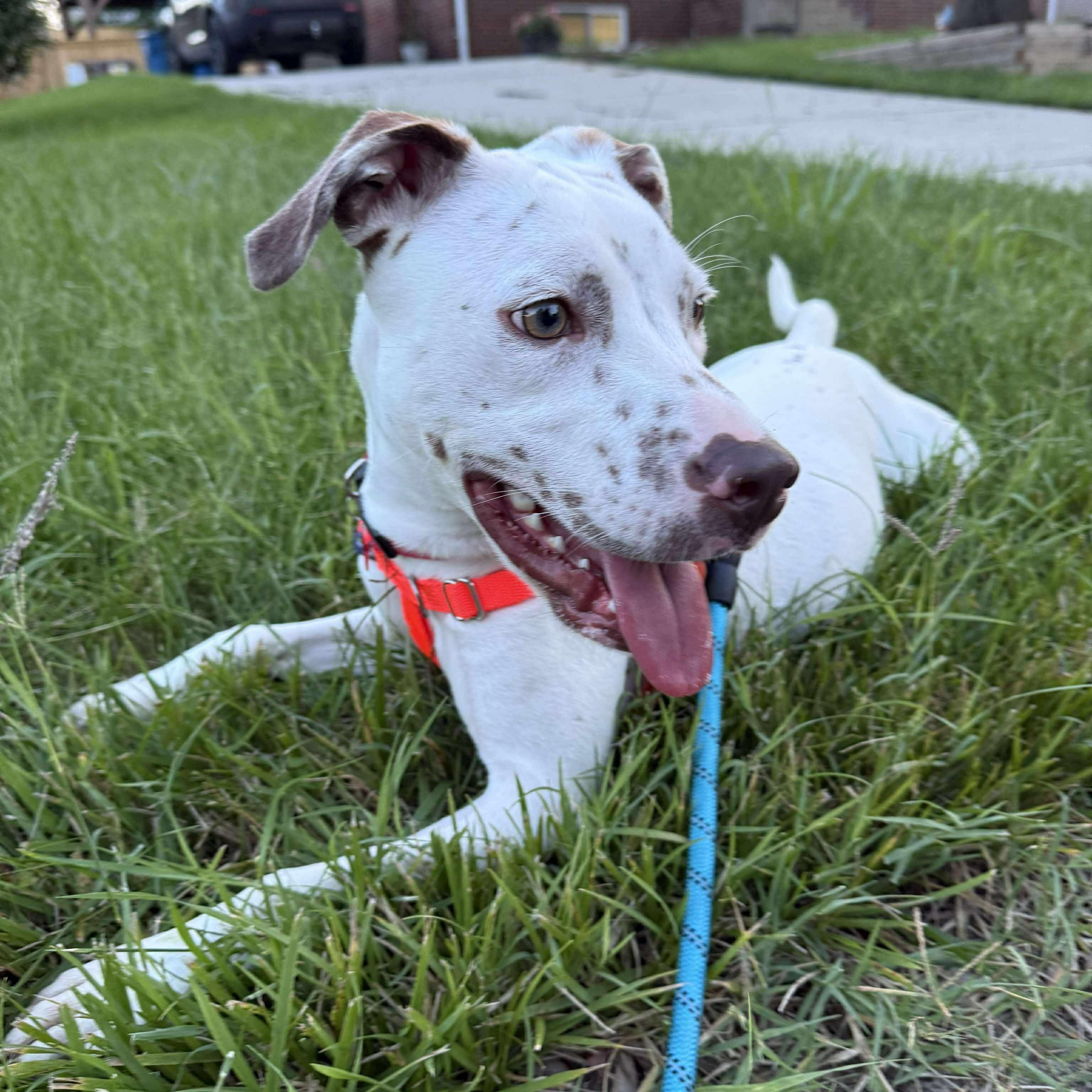 Mitzi photo 6