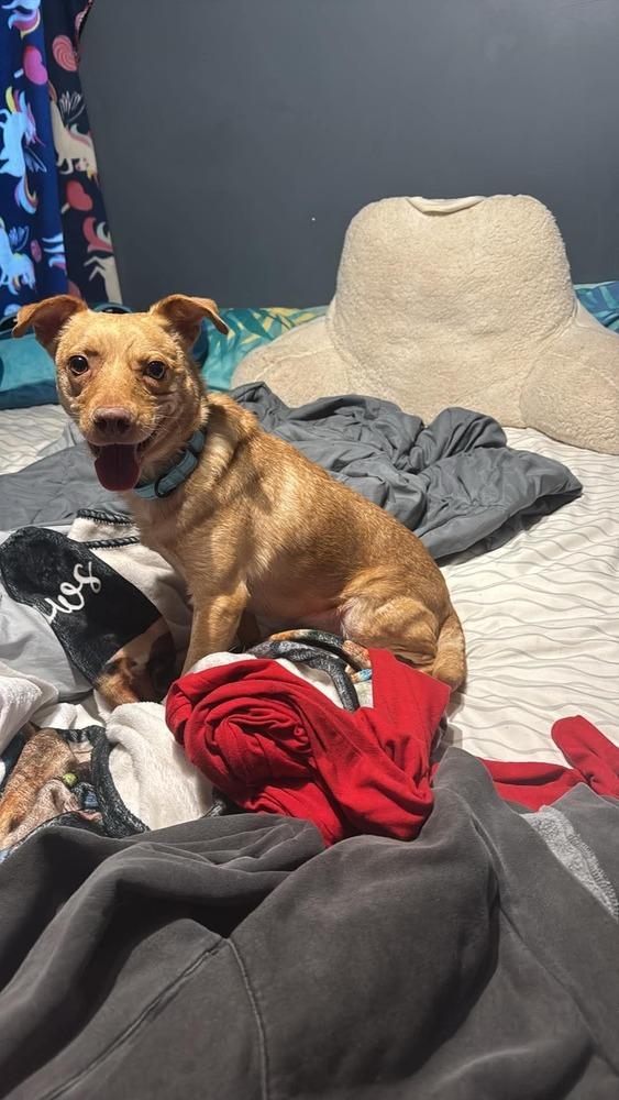 Trent Tonatiuh thumbnail 5