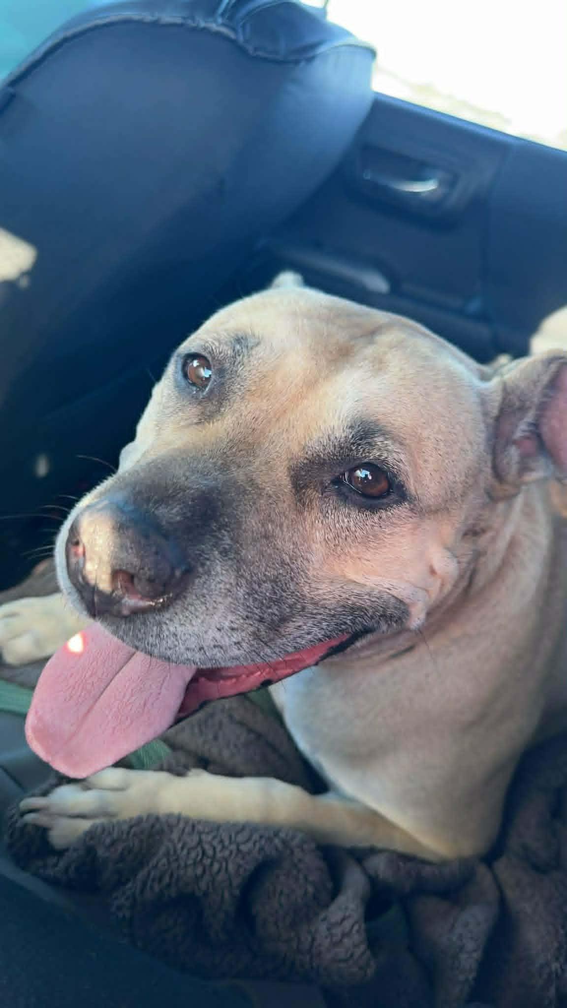 Nilah~ Courtesy — thumbnail 3