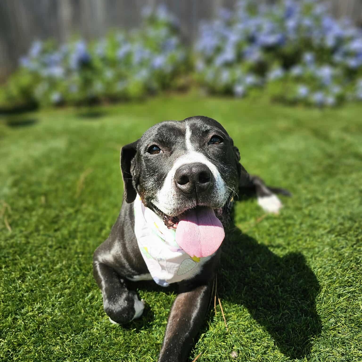Rita