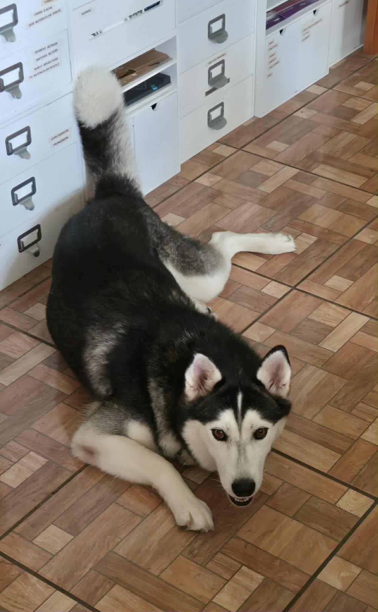 Ellie