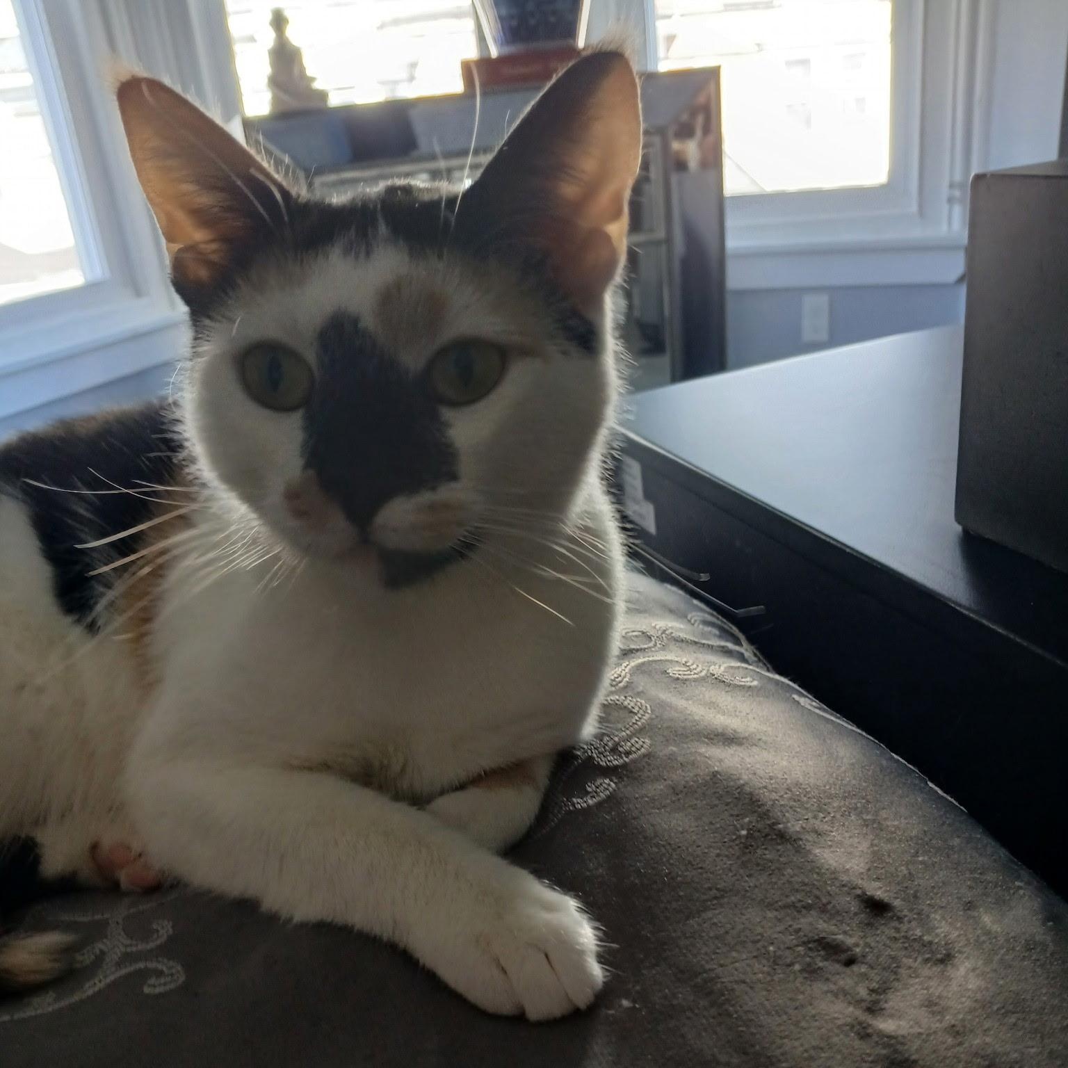 Patches
