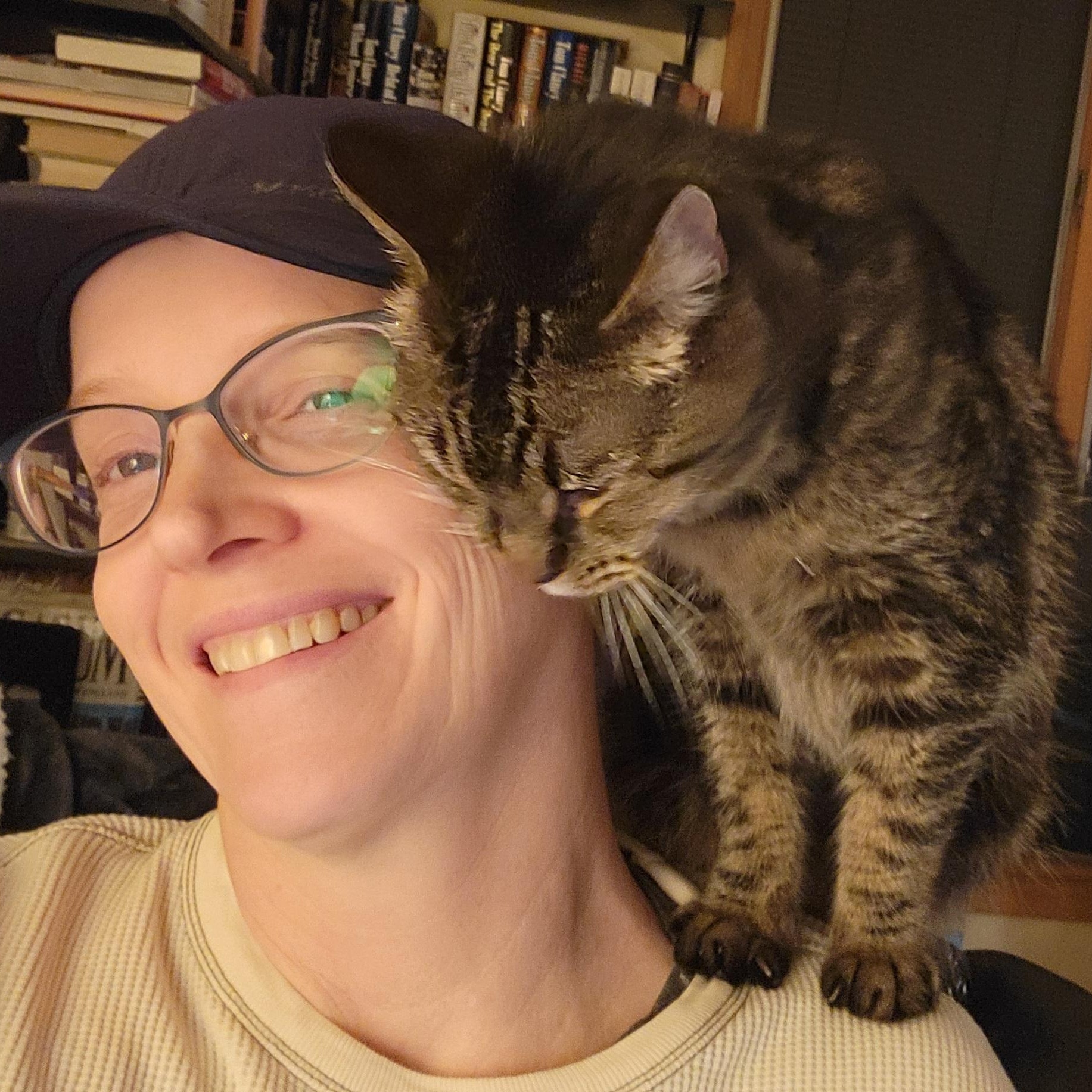 Snickerdoodle, an adopted Domestic Medium Hair in West Jefferson, OH image 2/6