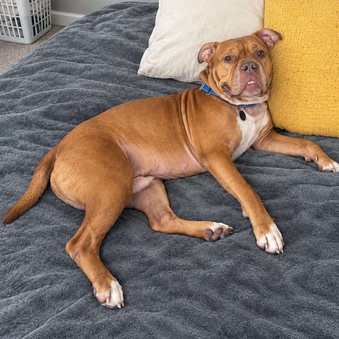 Wally photo