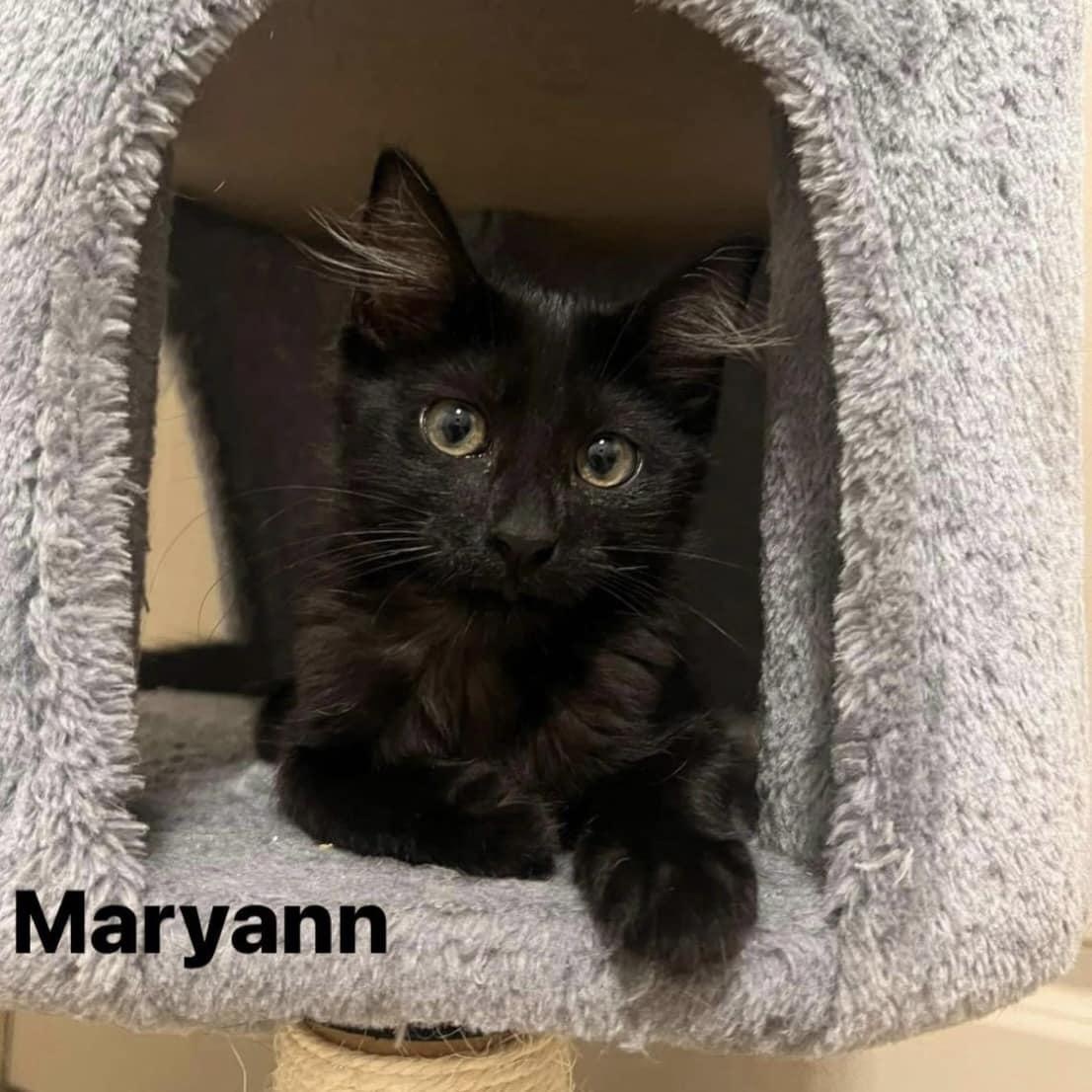 Maryann thumbnail 2