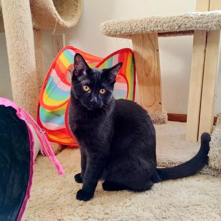 GiGi — thumbnail 5