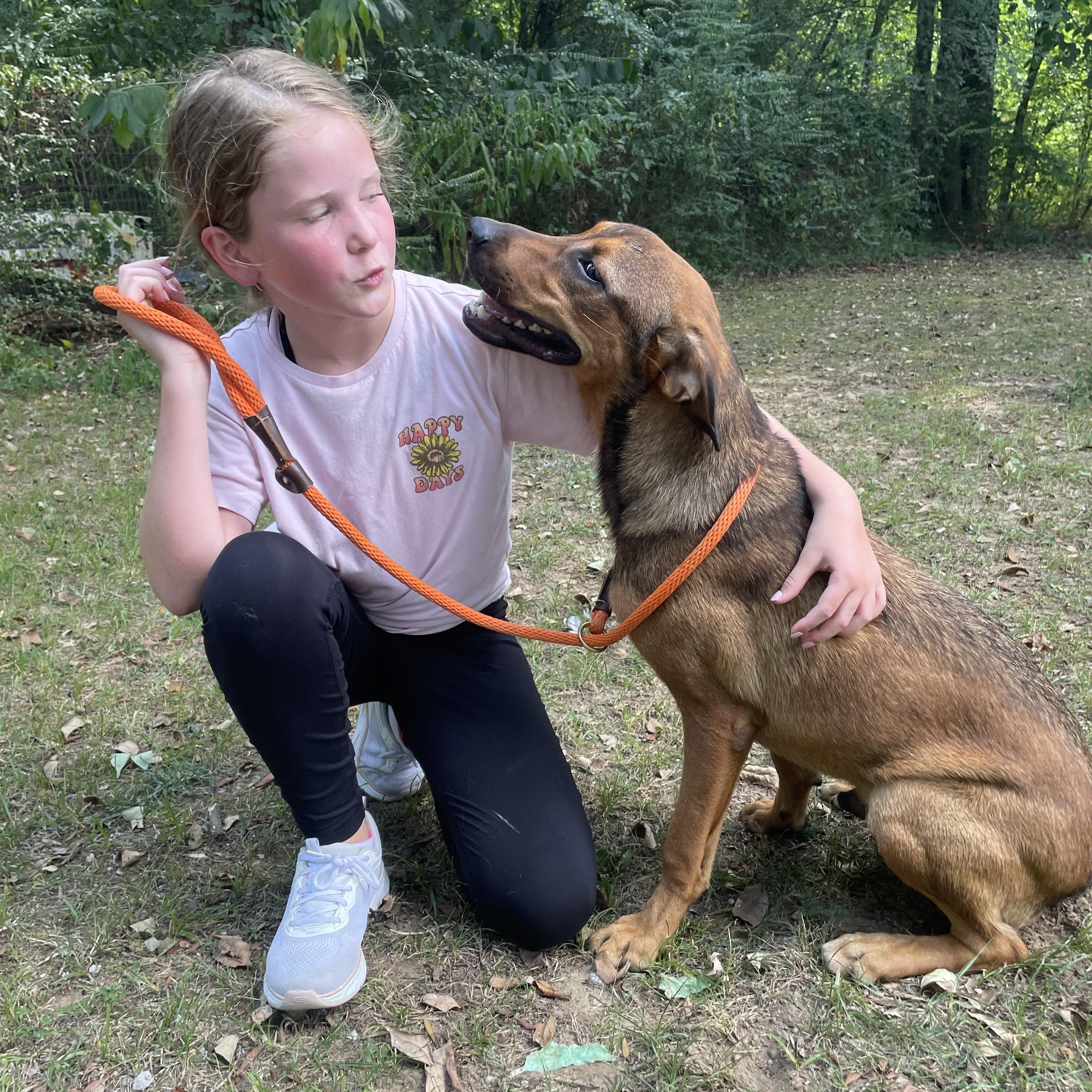 Henry, a Adoptable mixed breed in Heber Springs, AR image 1/6