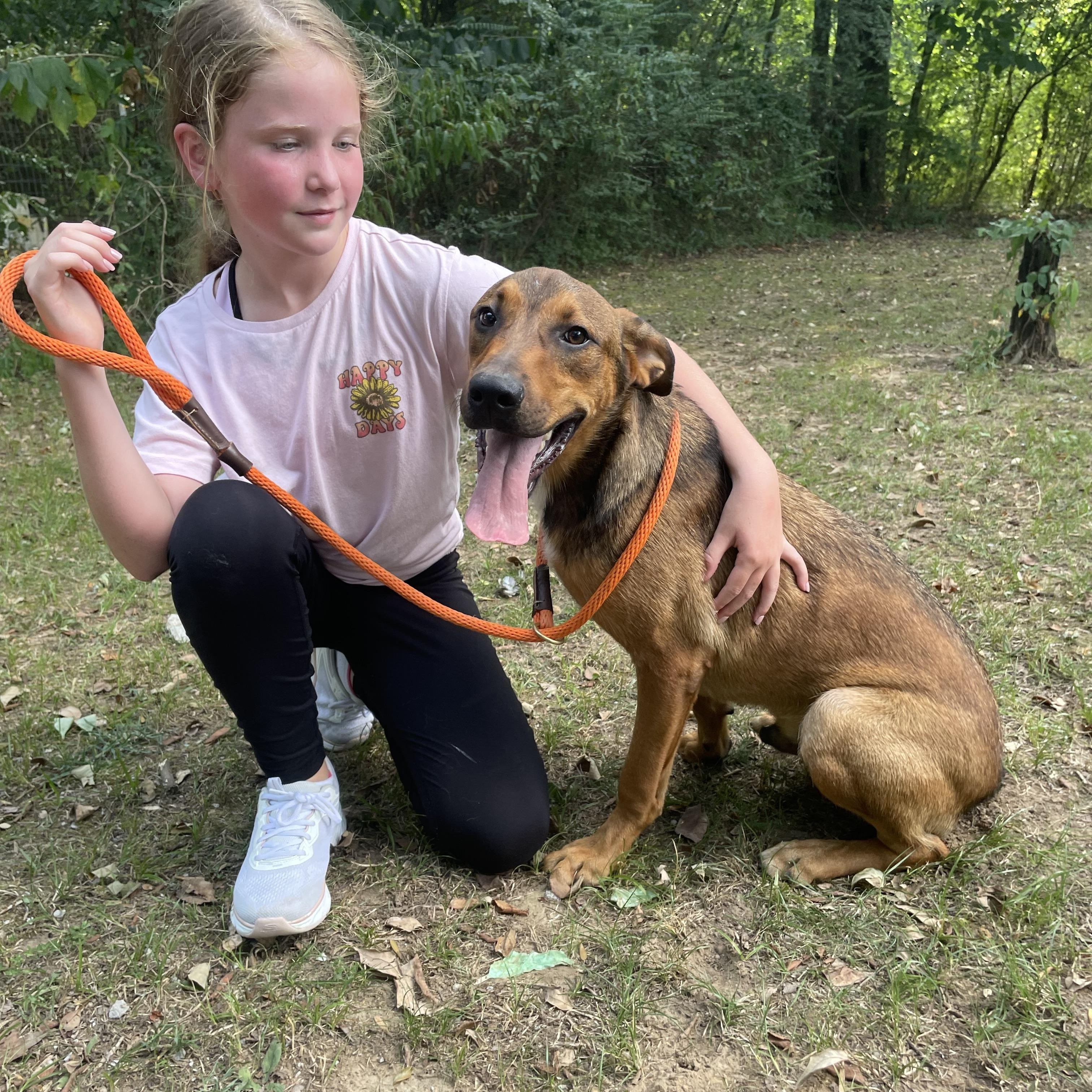 Henry, a Adoptable mixed breed in Heber Springs, AR image 6/6